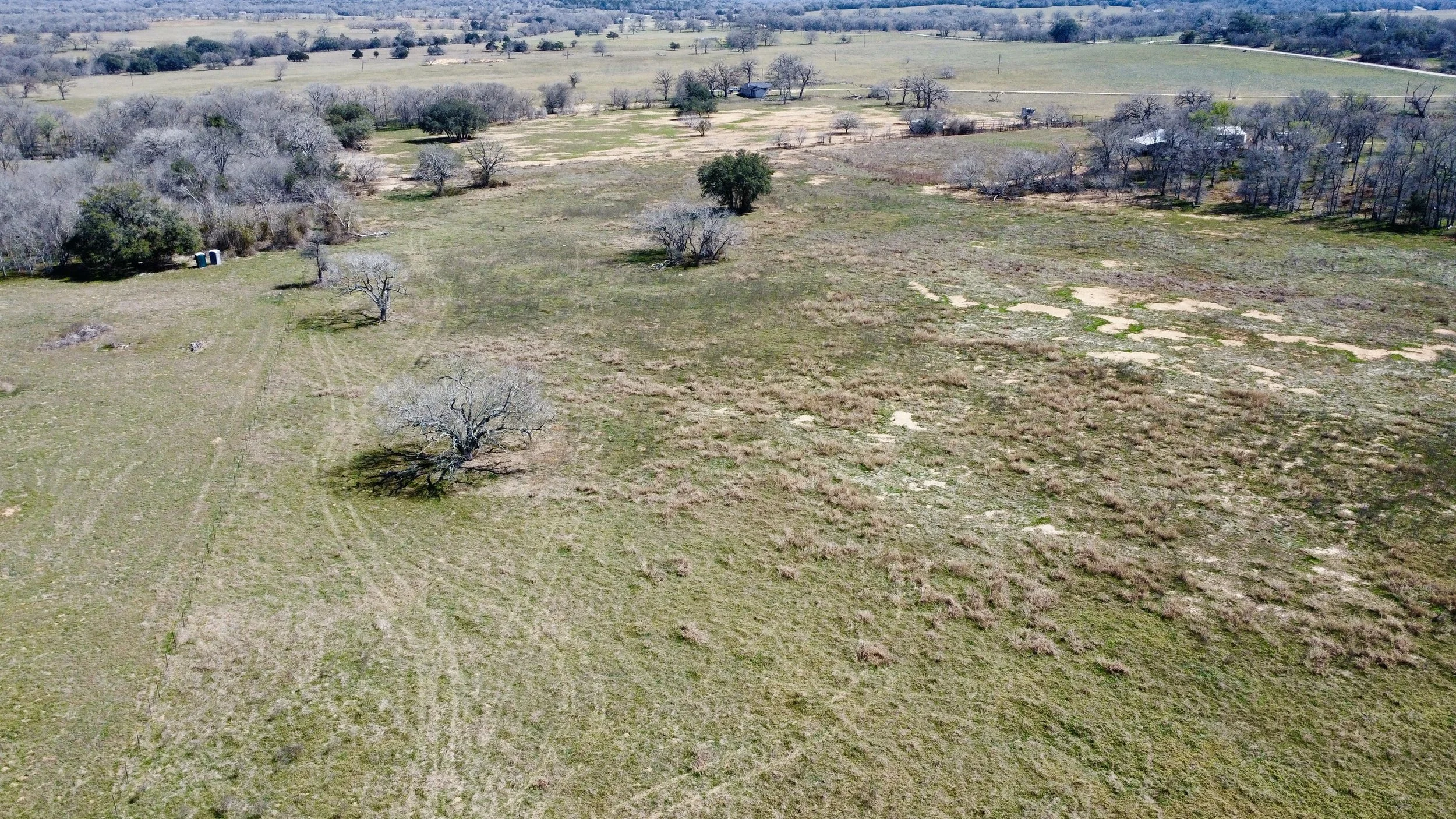 dji_fly_20260226_125302_128_1772133035531_photo_optimized.jpg