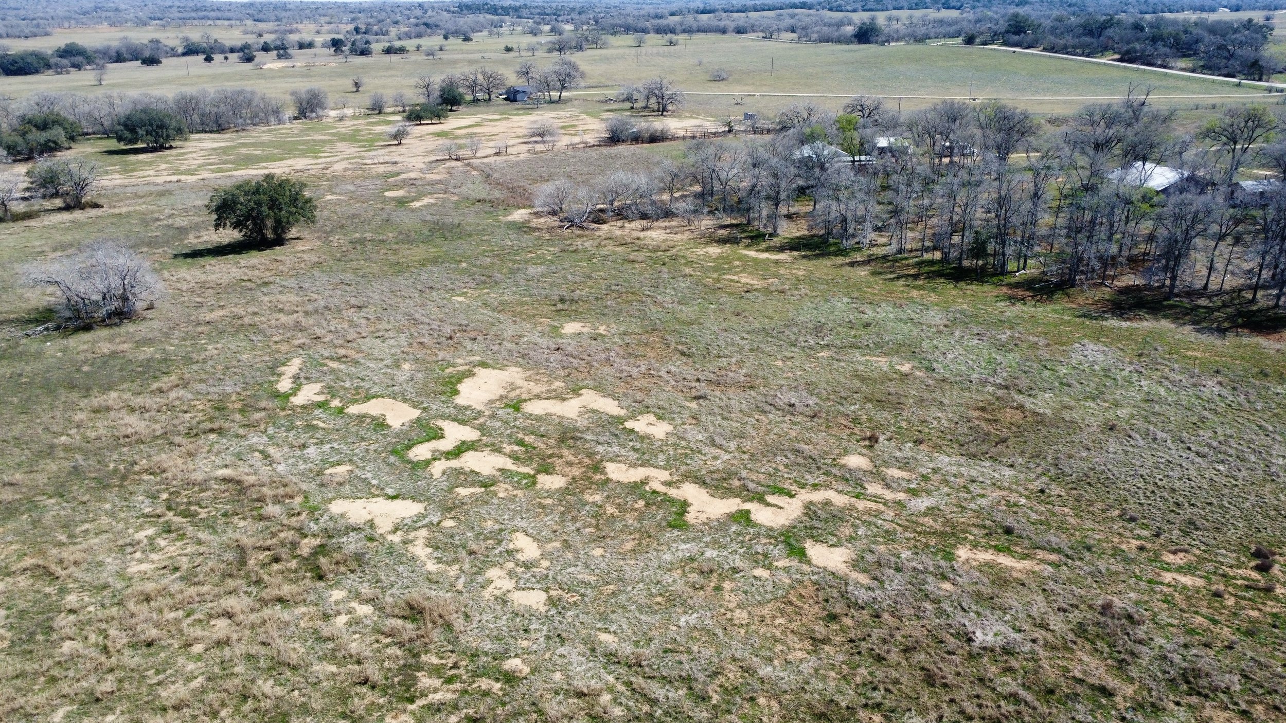 dji_fly_20260226_125318_131_1772133034018_photo_optimized.jpg