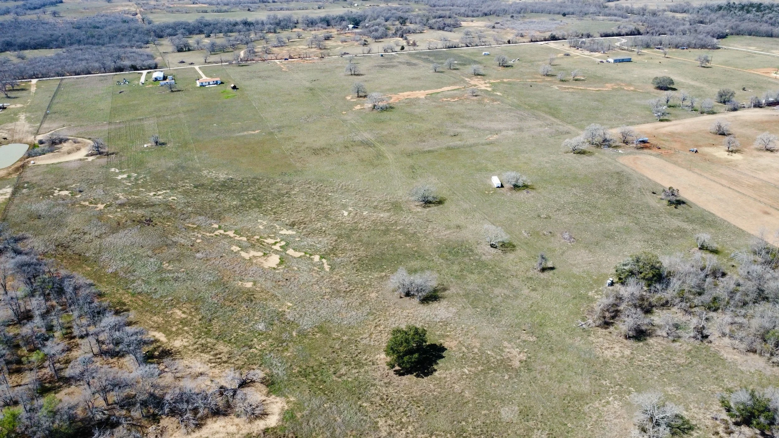 dji_fly_20260226_125554_135_1772133031026_photo_optimized.jpg