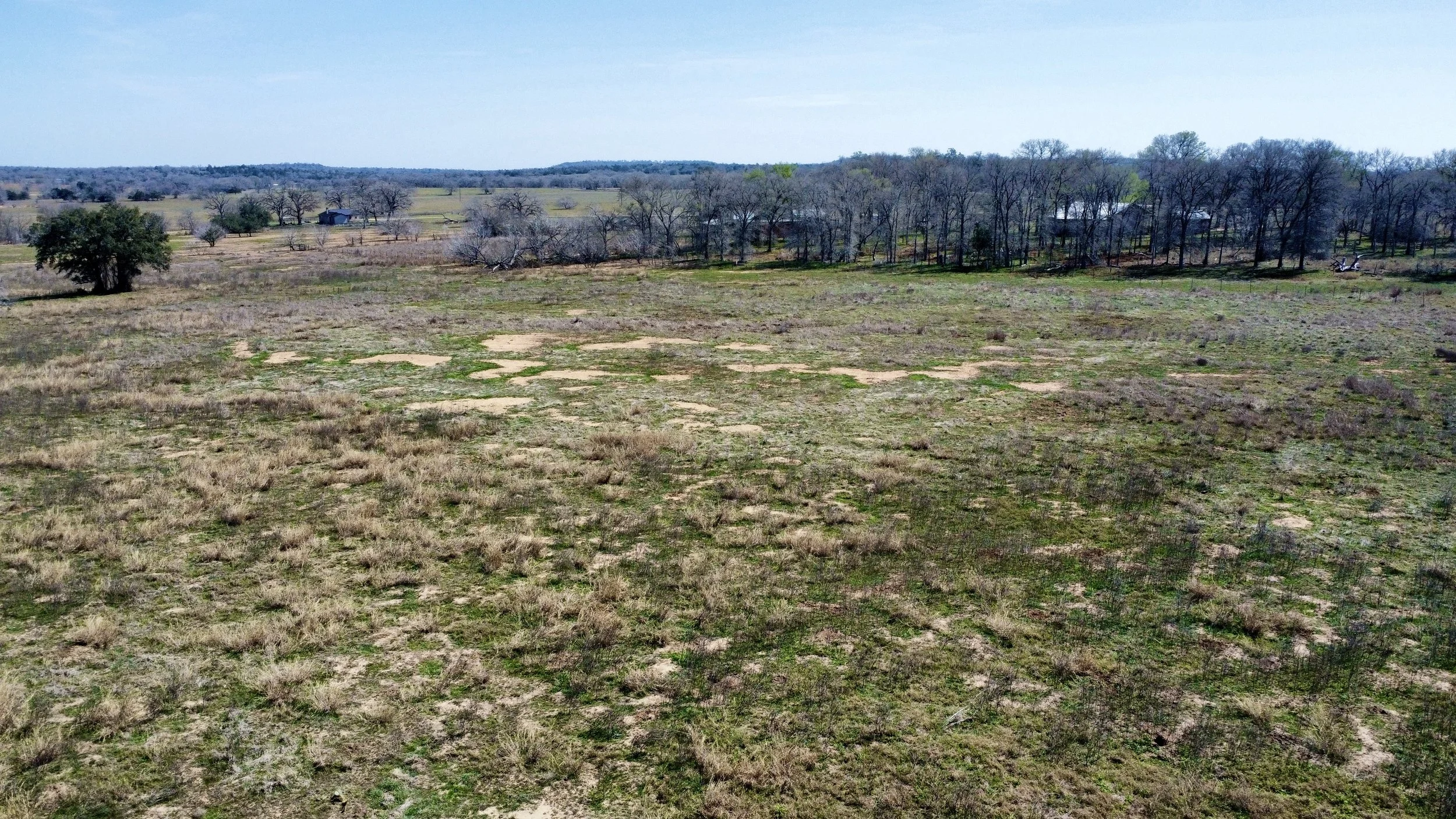 dji_fly_20260226_125914_151_1772133020846_photo_optimized.jpg
