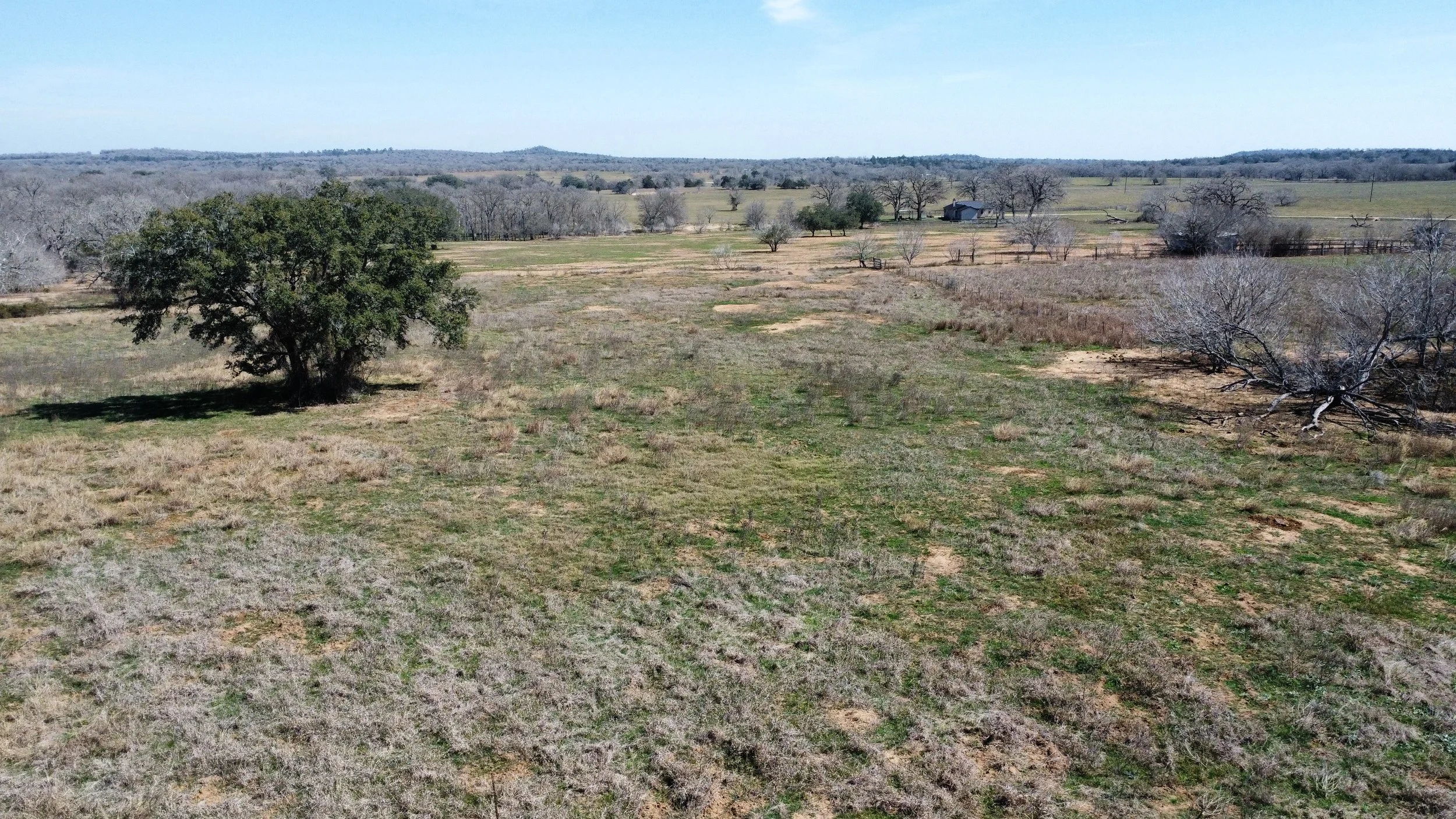 dji_fly_20260226_130110_161_1772133007706_photo_optimized.JPG