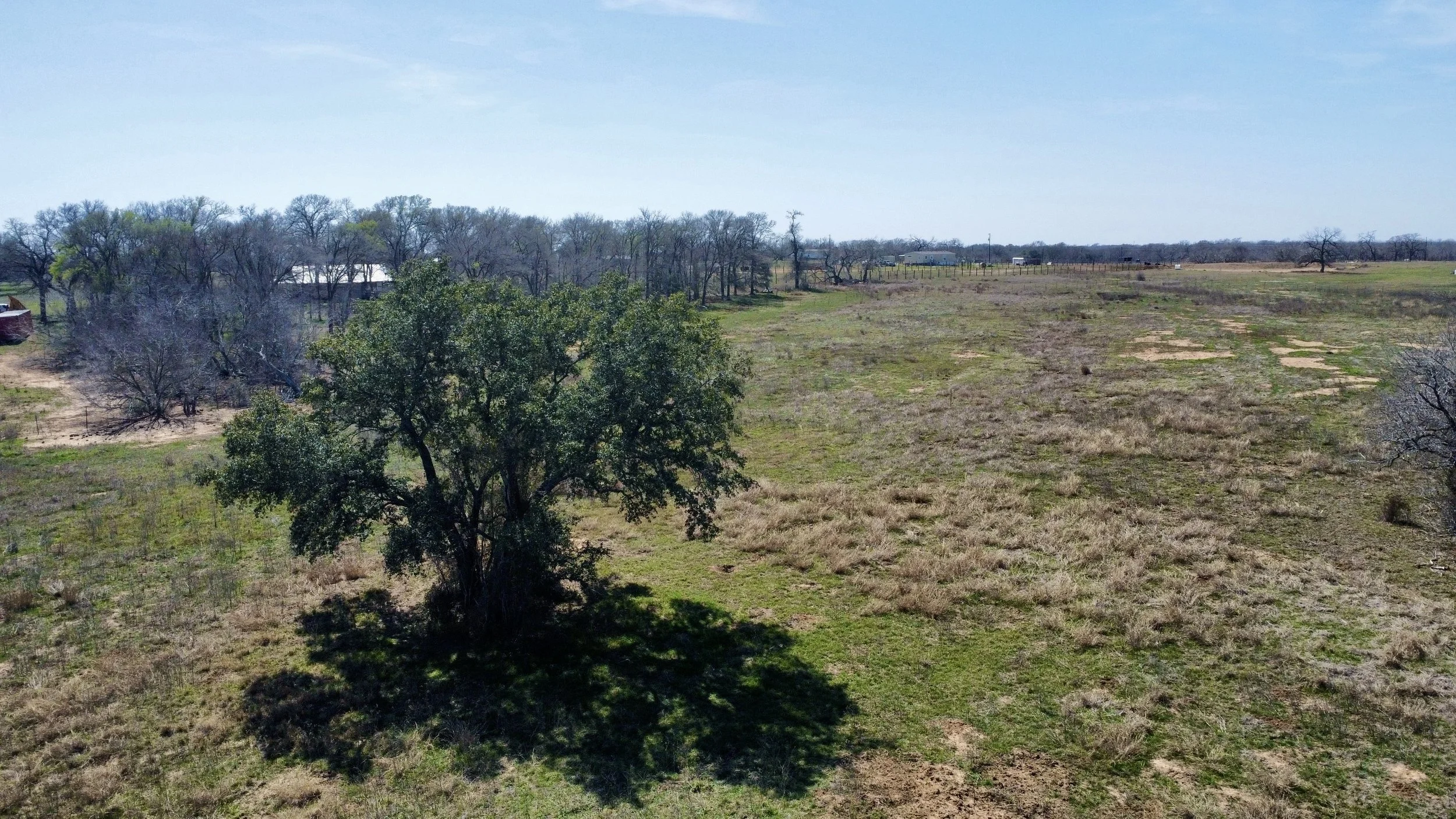 dji_fly_20260226_130150_165_1772133005513_photo_optimized.jpg