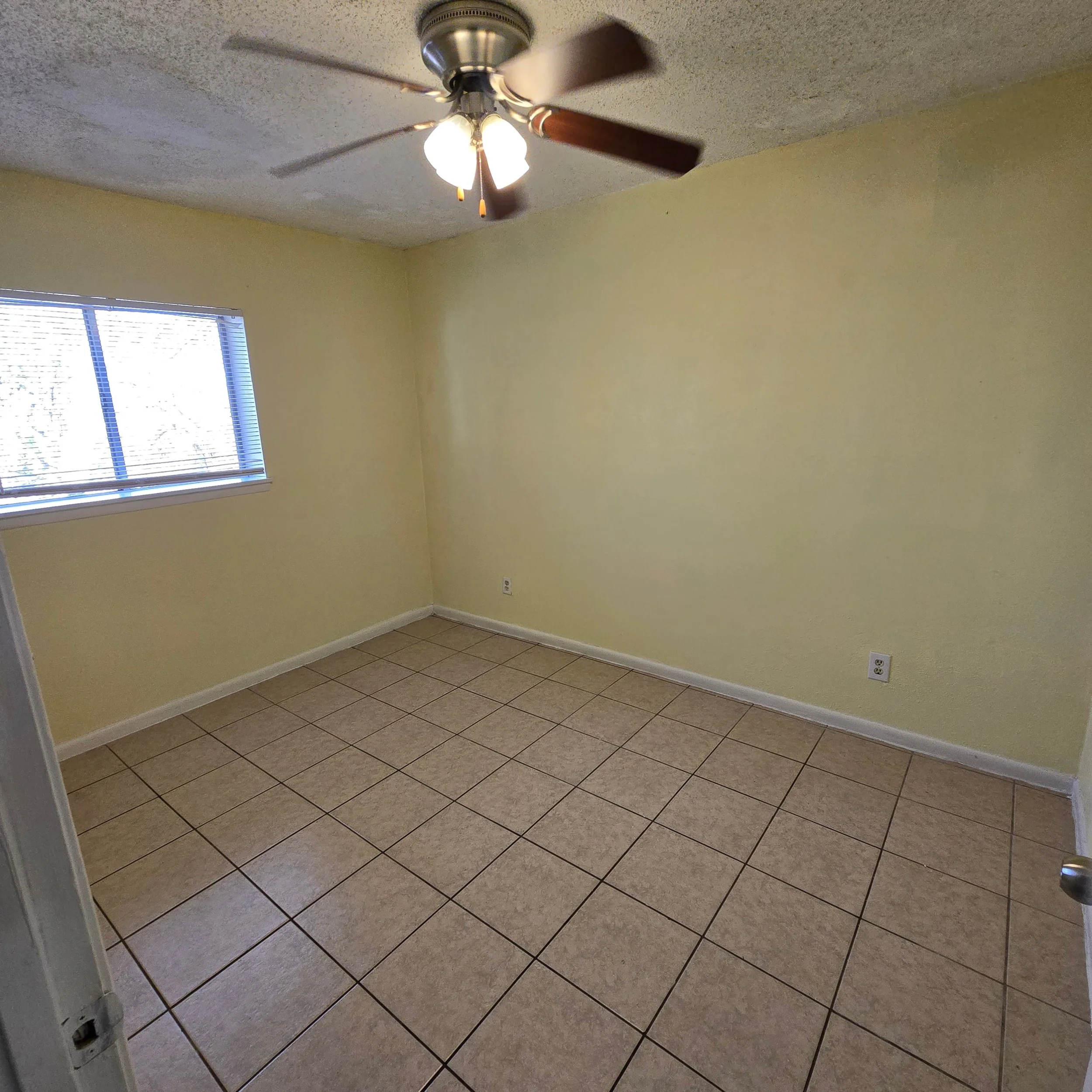 1000010558 (1) - Copy.jpg