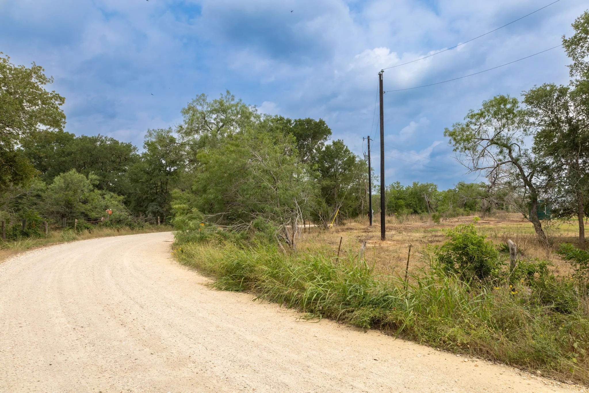 Ground_3 (2) (2).jpg