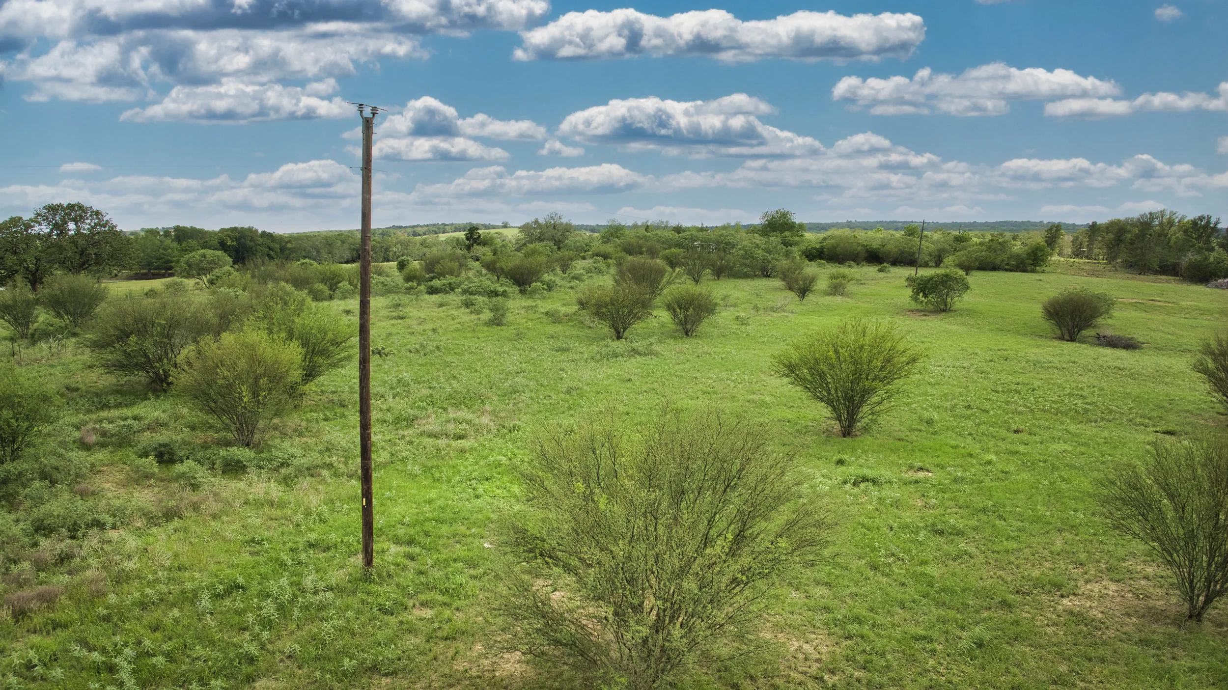 DJI_0820.webp