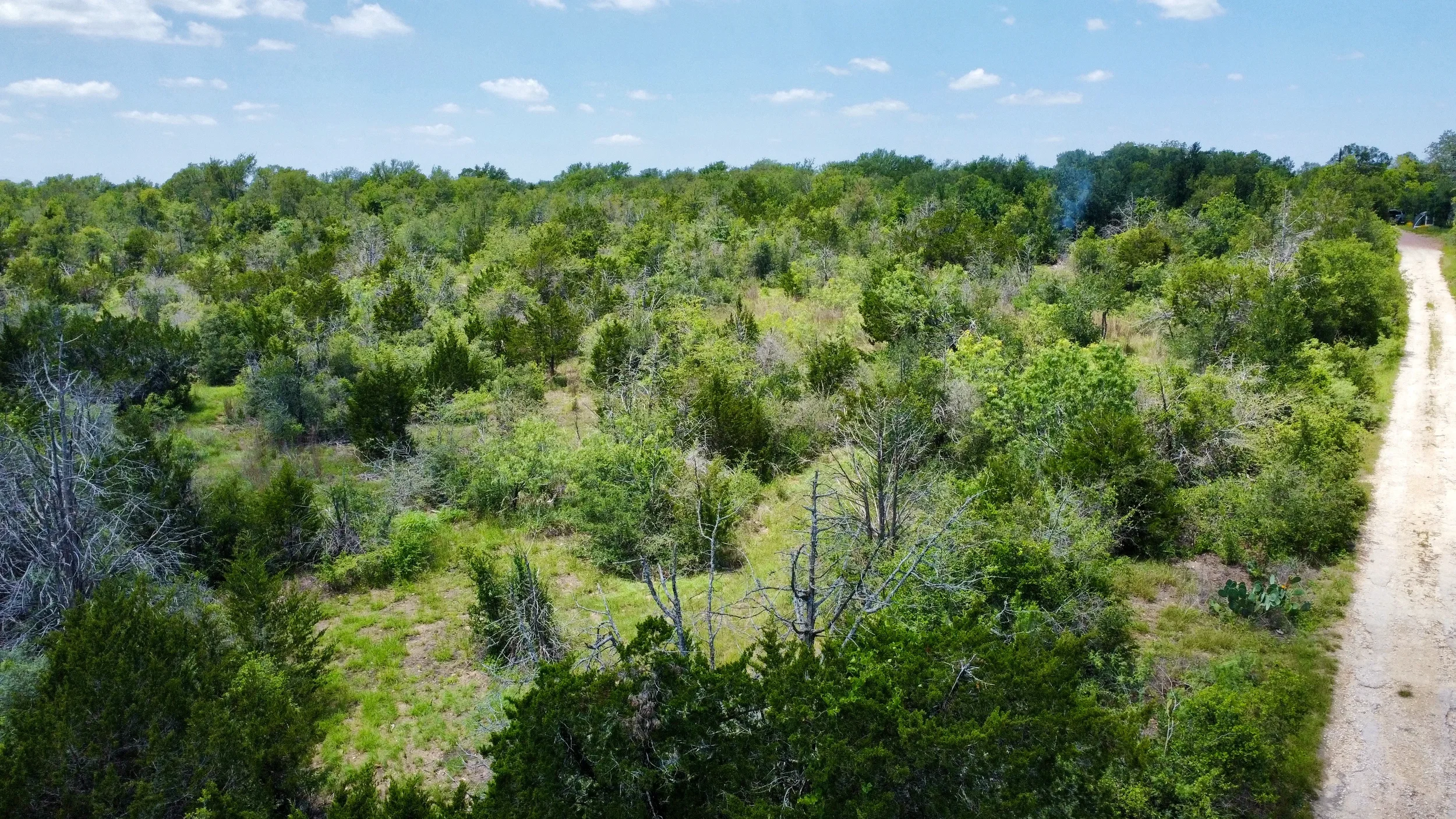 dji_fly_20260513_135156_691_1778698950964_photo_optimized.webp
