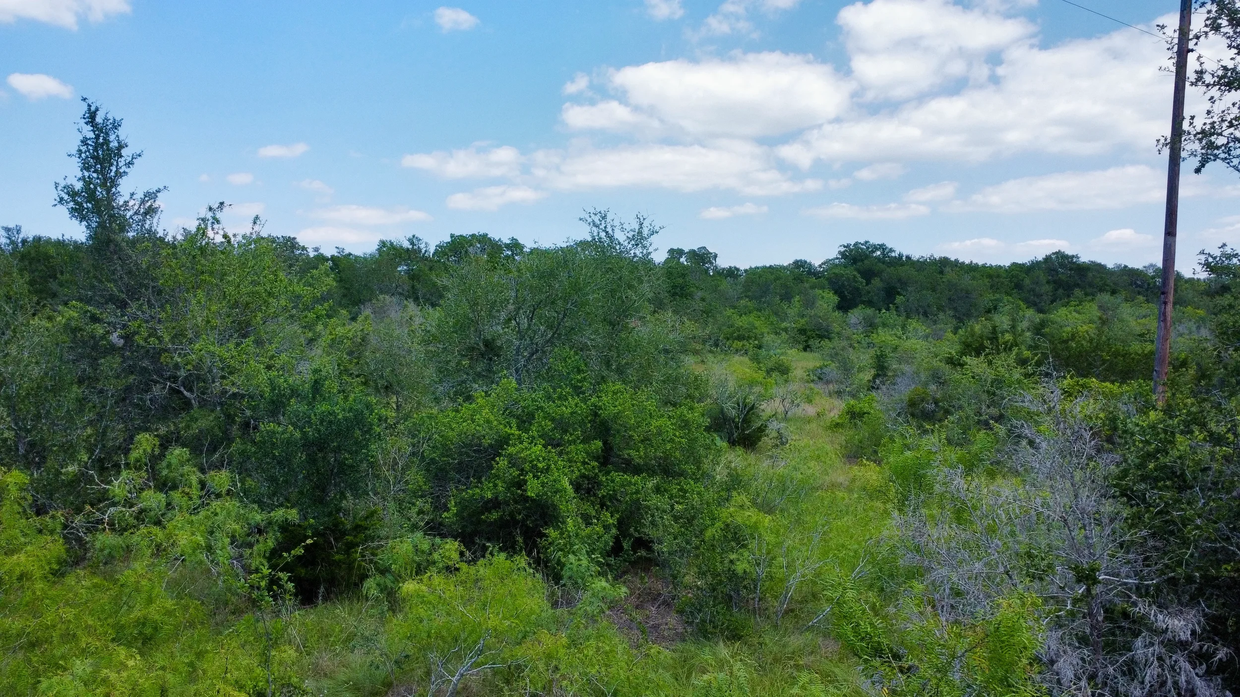 dji_fly_20260513_135536_707_1778698910380_photo_optimized.webp
