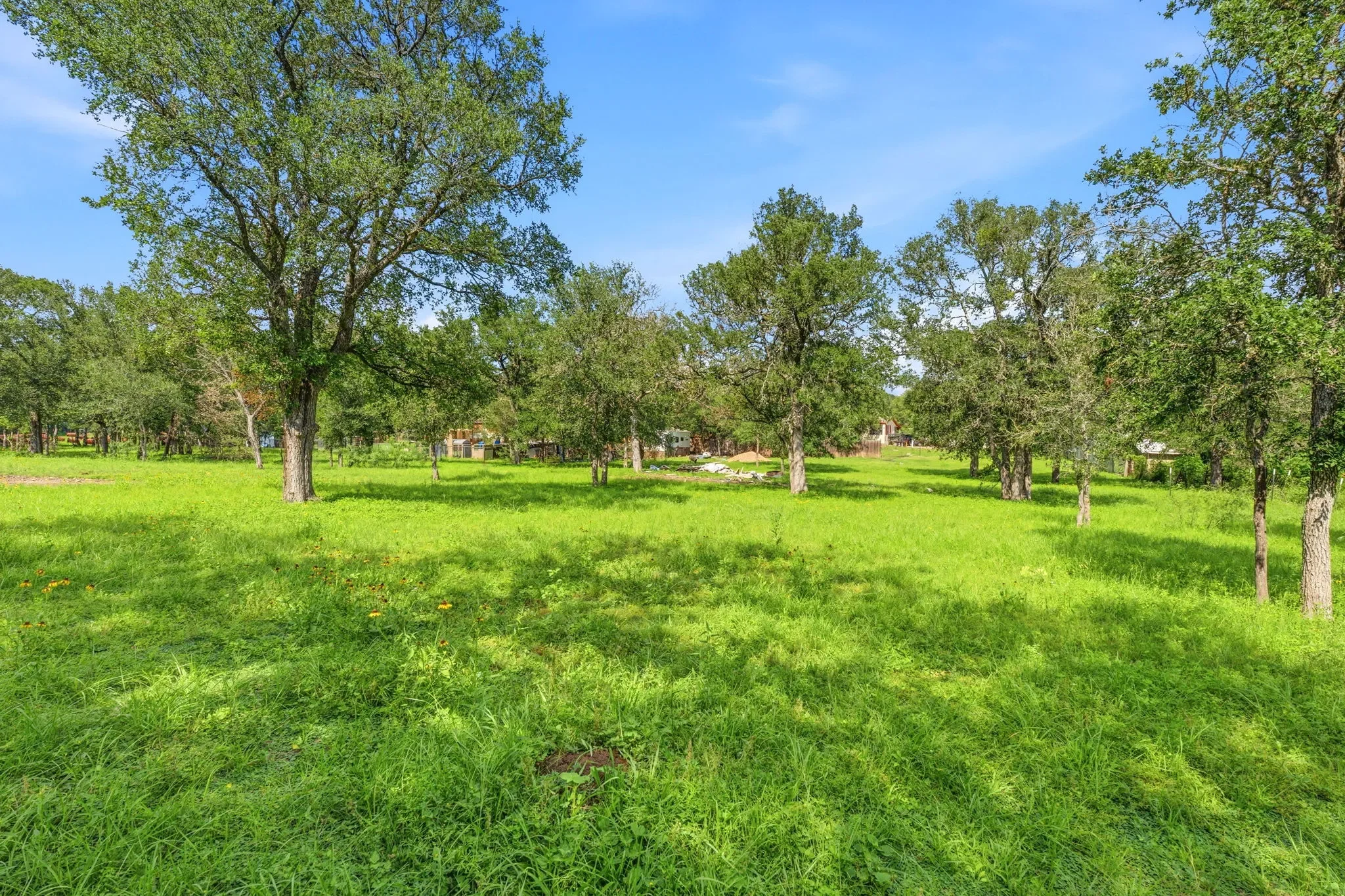 22-web-or-mls-DSC08735.webp