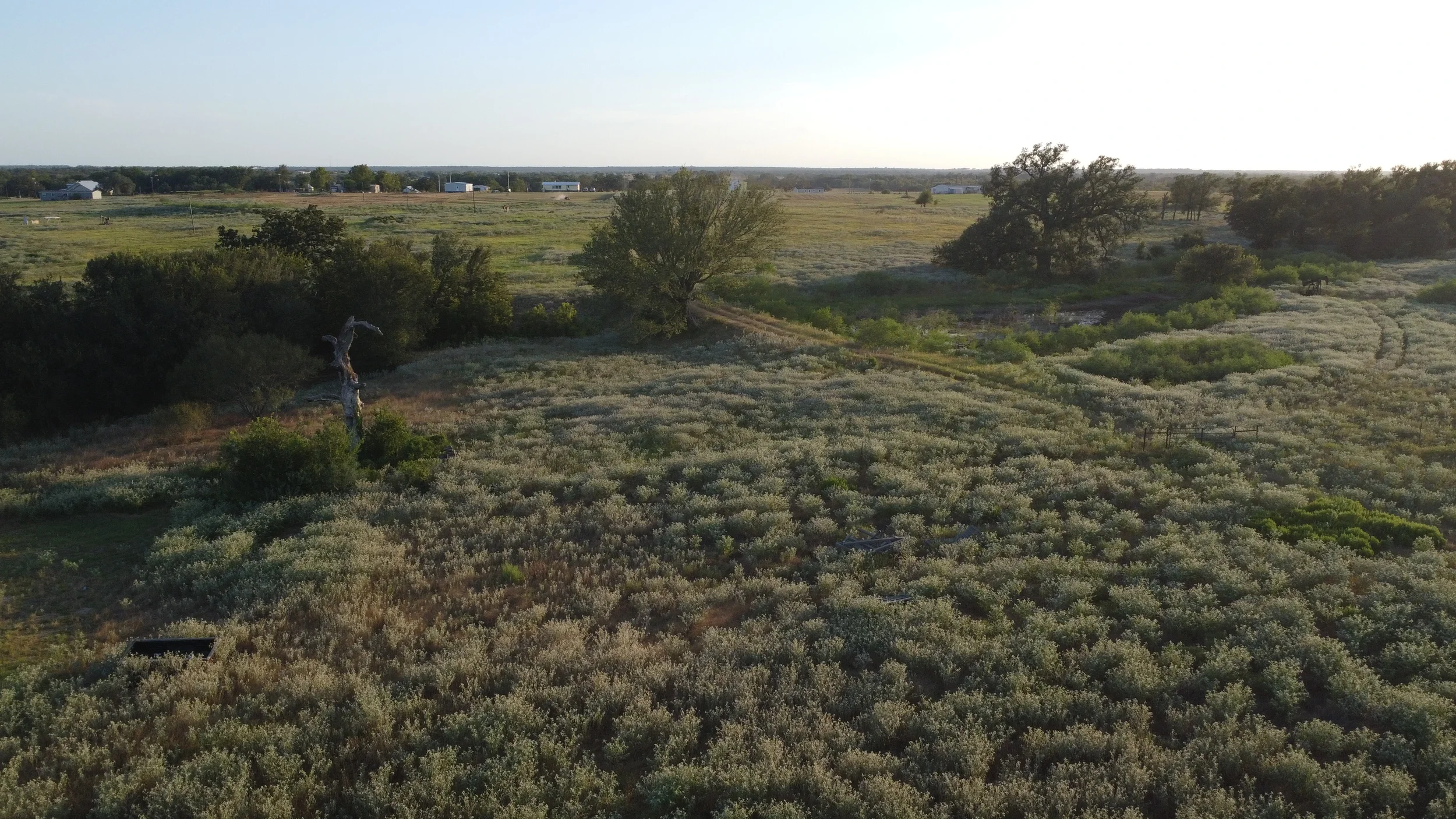 dji_fly_20260818_192630_6_1787099284352_photo_optimized.webp