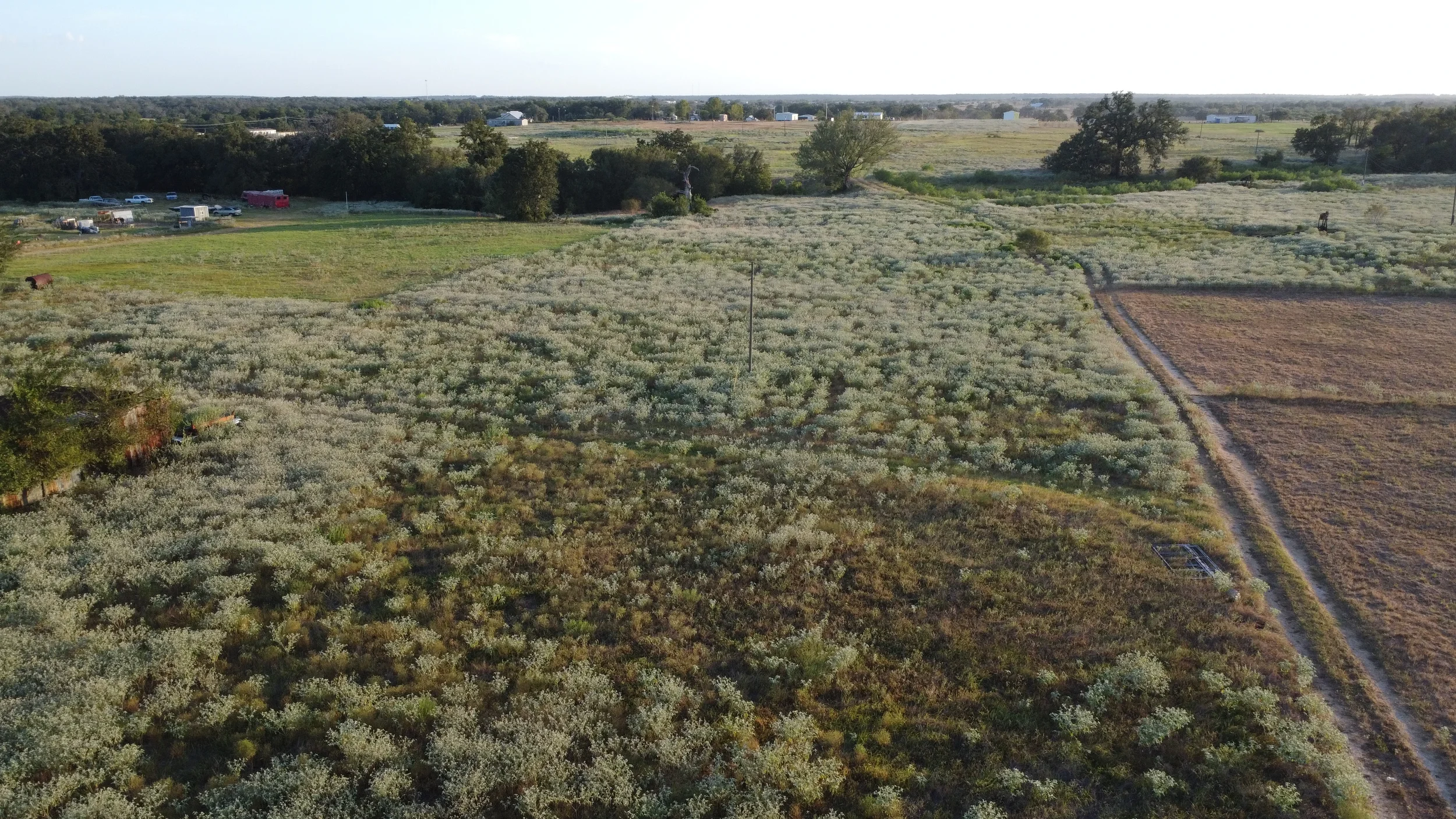 dji_fly_20260818_192804_11_1787099303358_photo_optimized.webp
