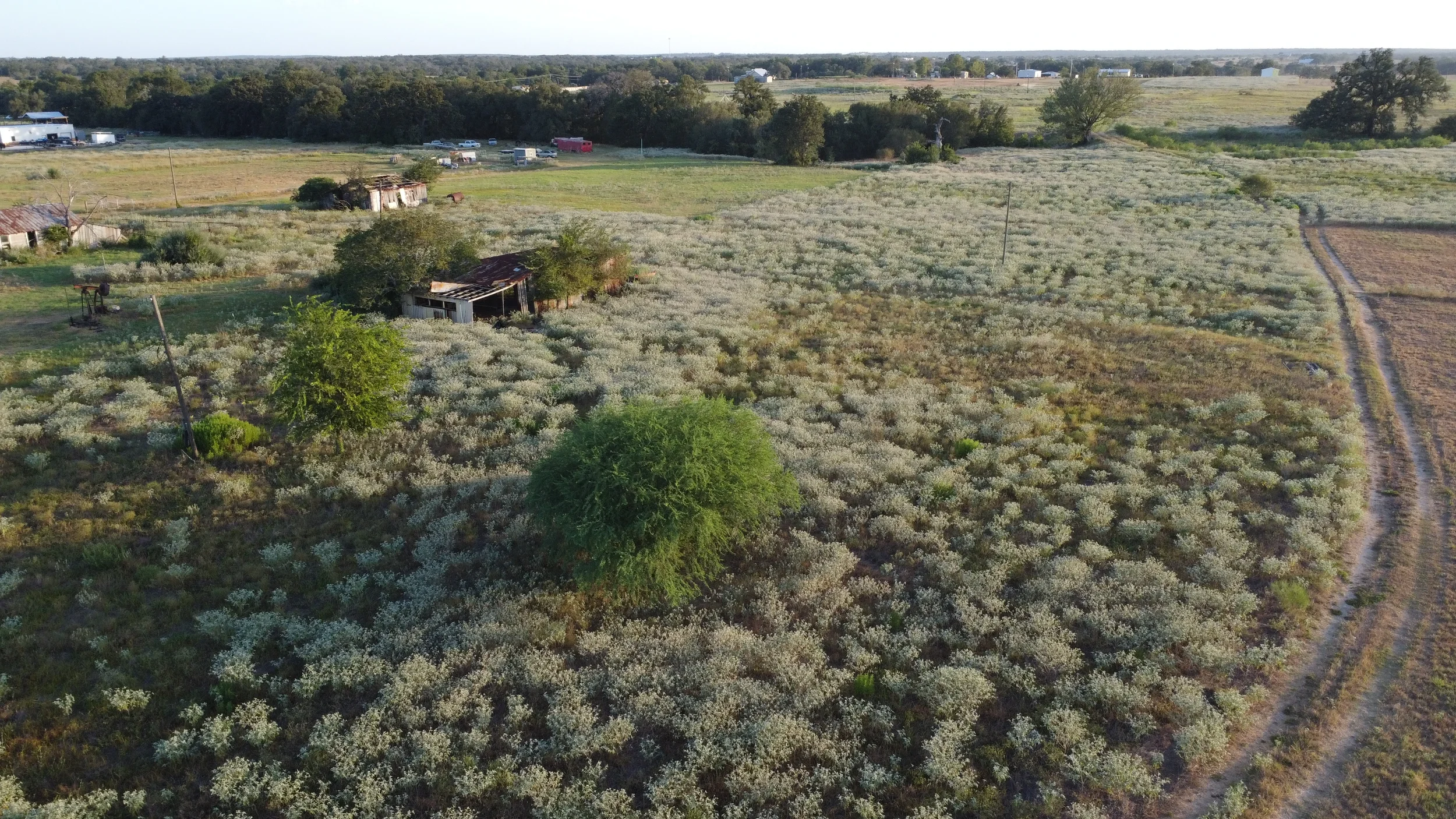 dji_fly_20260818_192848_14_1787099430380_photo_optimized.webp