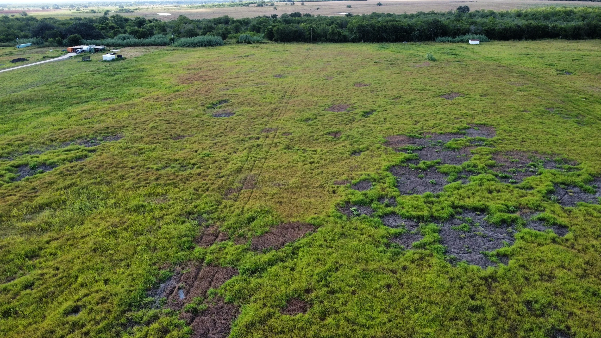 dji_fly_20260809_094050_865_1786286783378_photo_optimized.webp