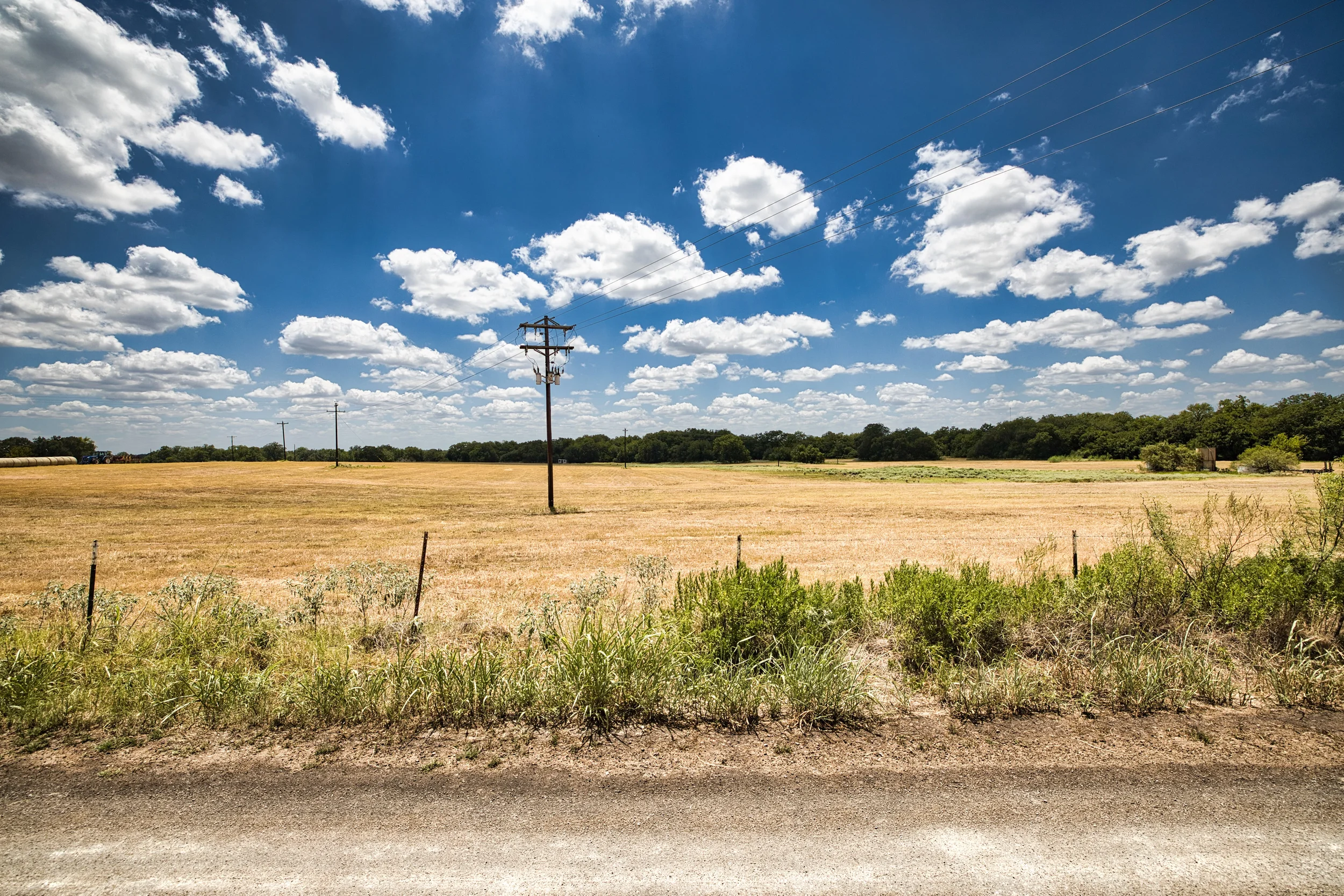 Hay12Ac_1.webp