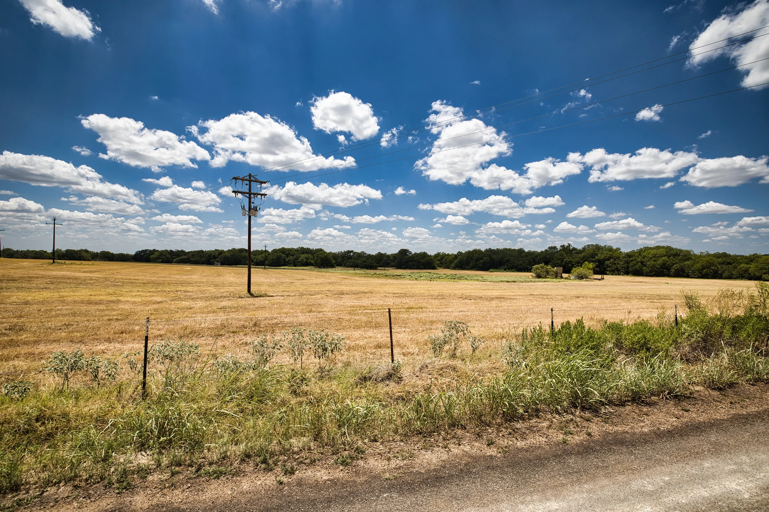 Hay12Ac_2.webp