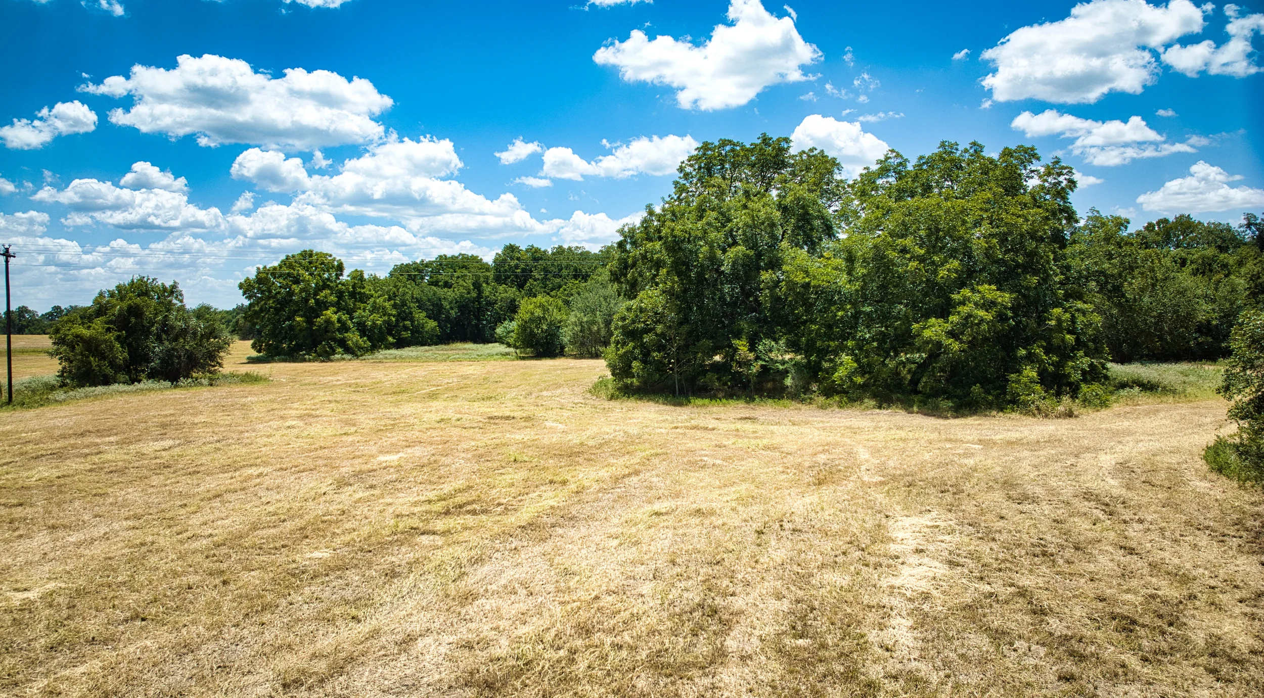 Hay12Ac_14.webp