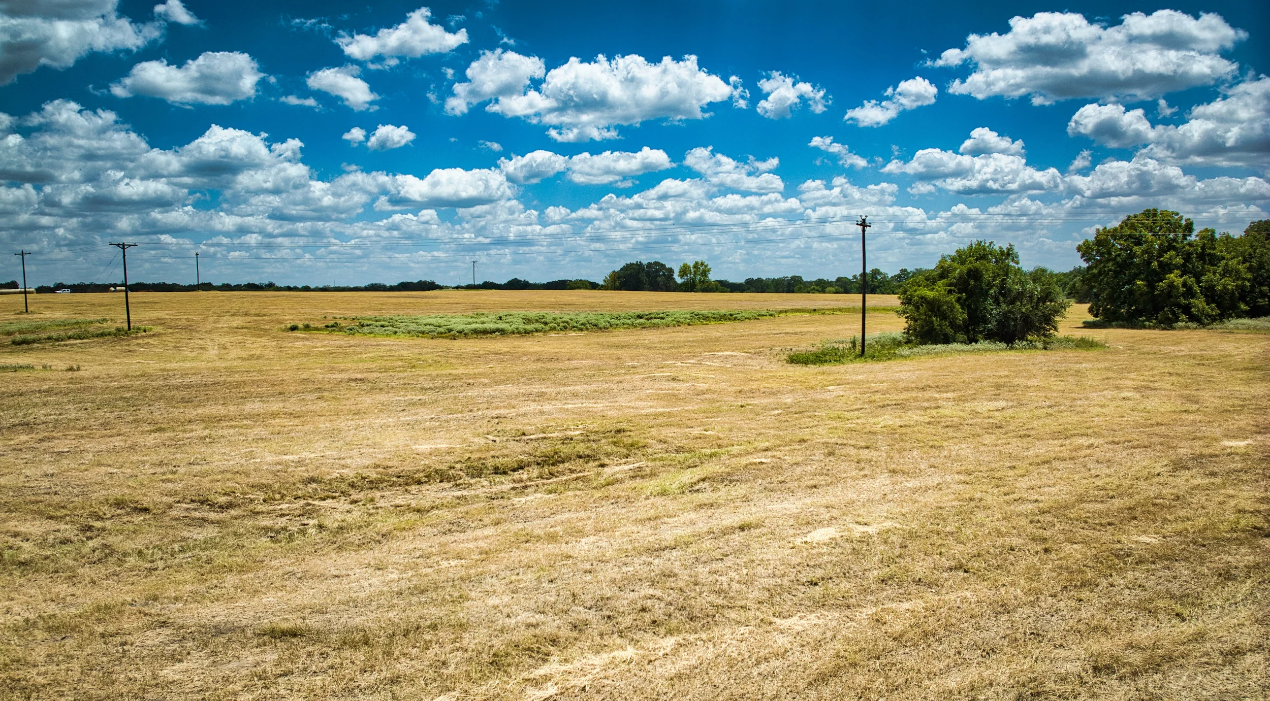 Hay12Ac_15.webp