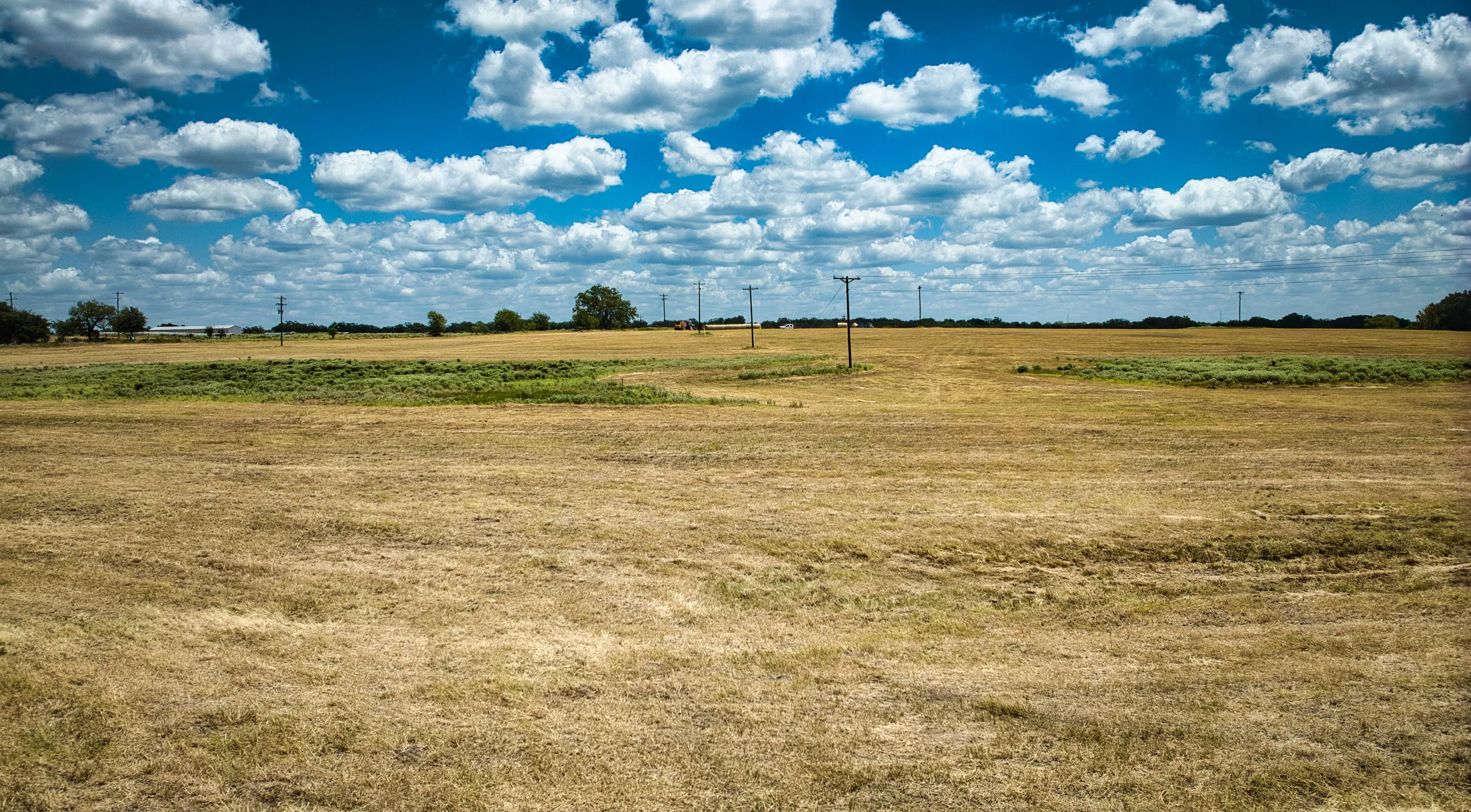 Hay12Ac_16.webp