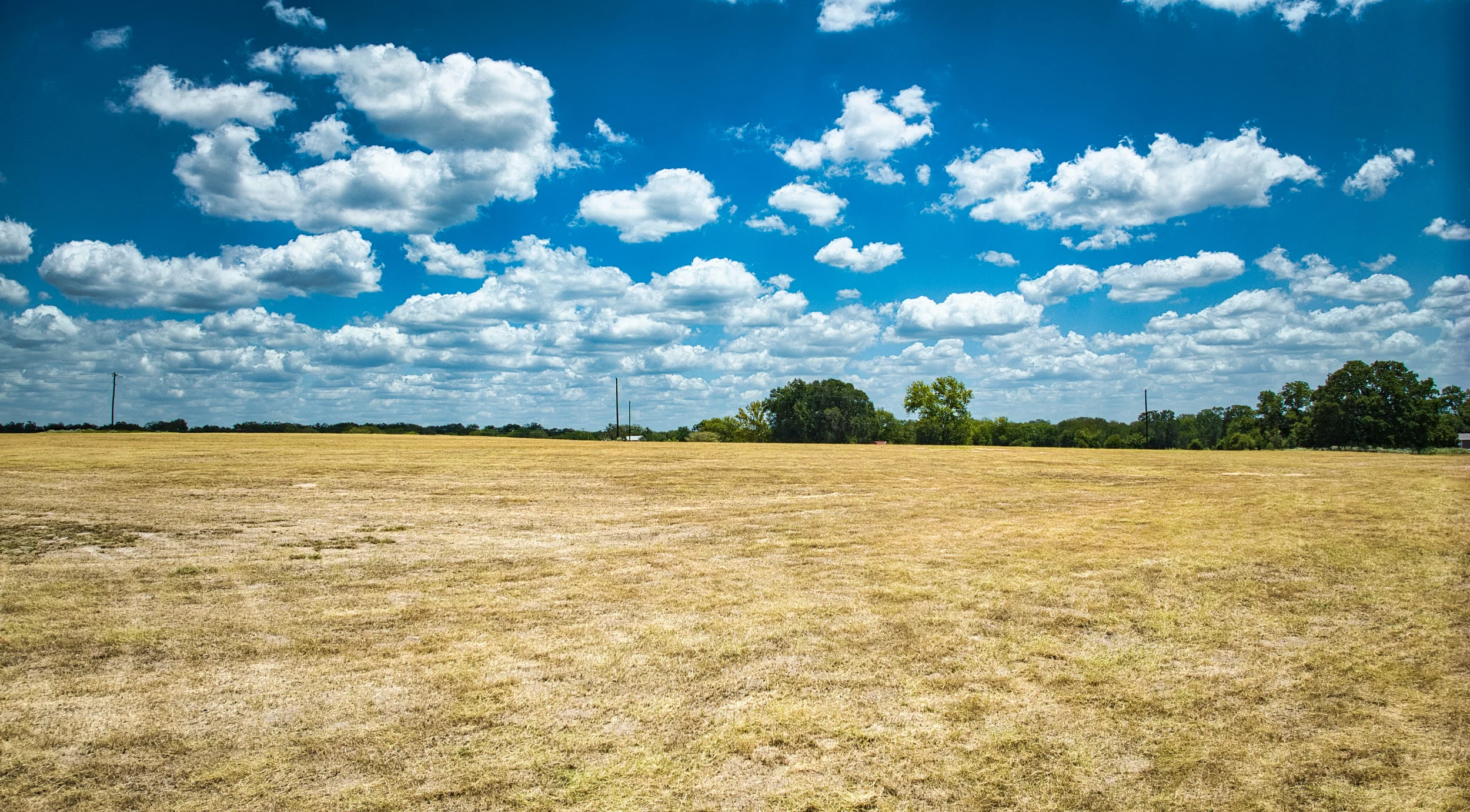 Hay12Ac_19.webp