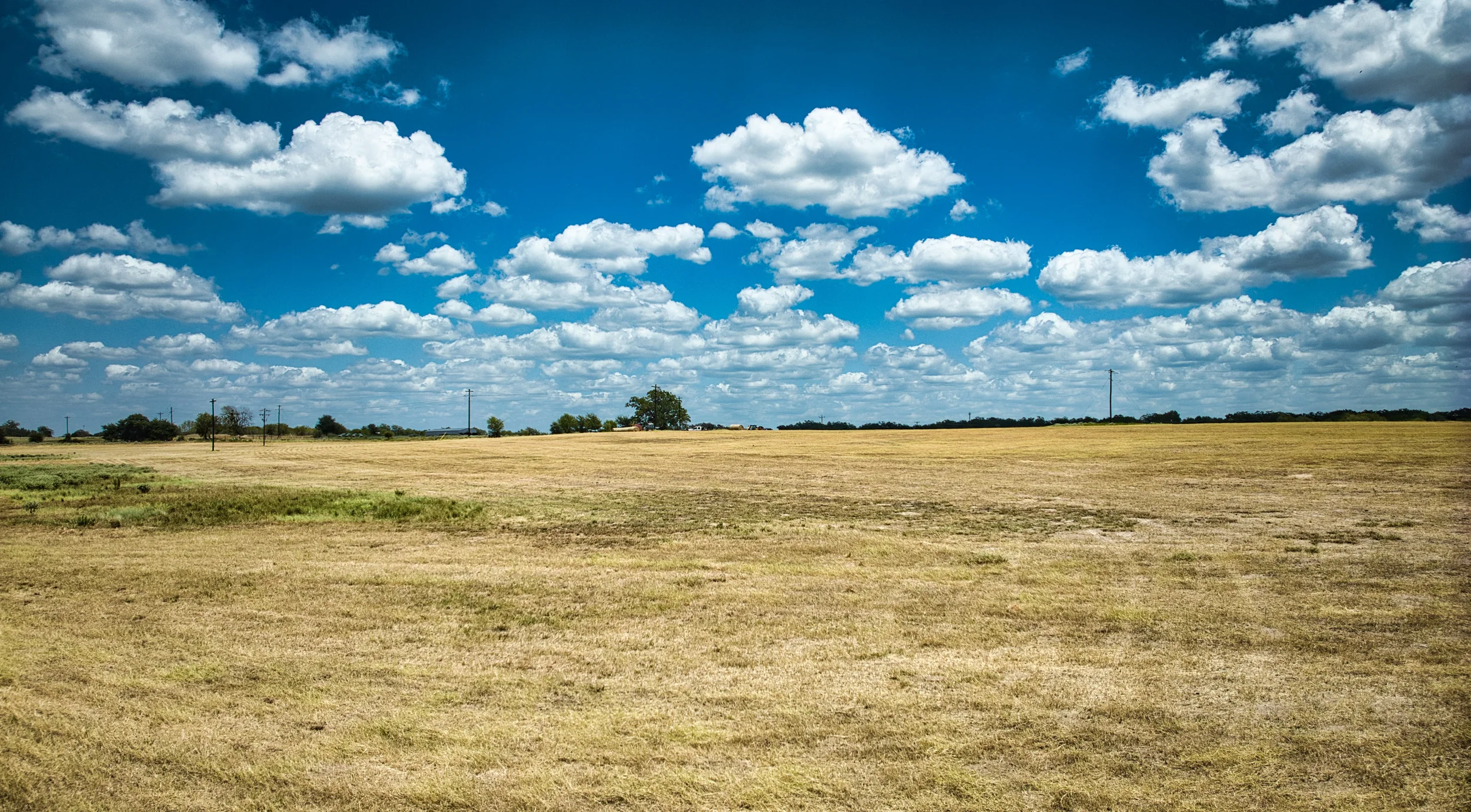 Hay12Ac_20.webp