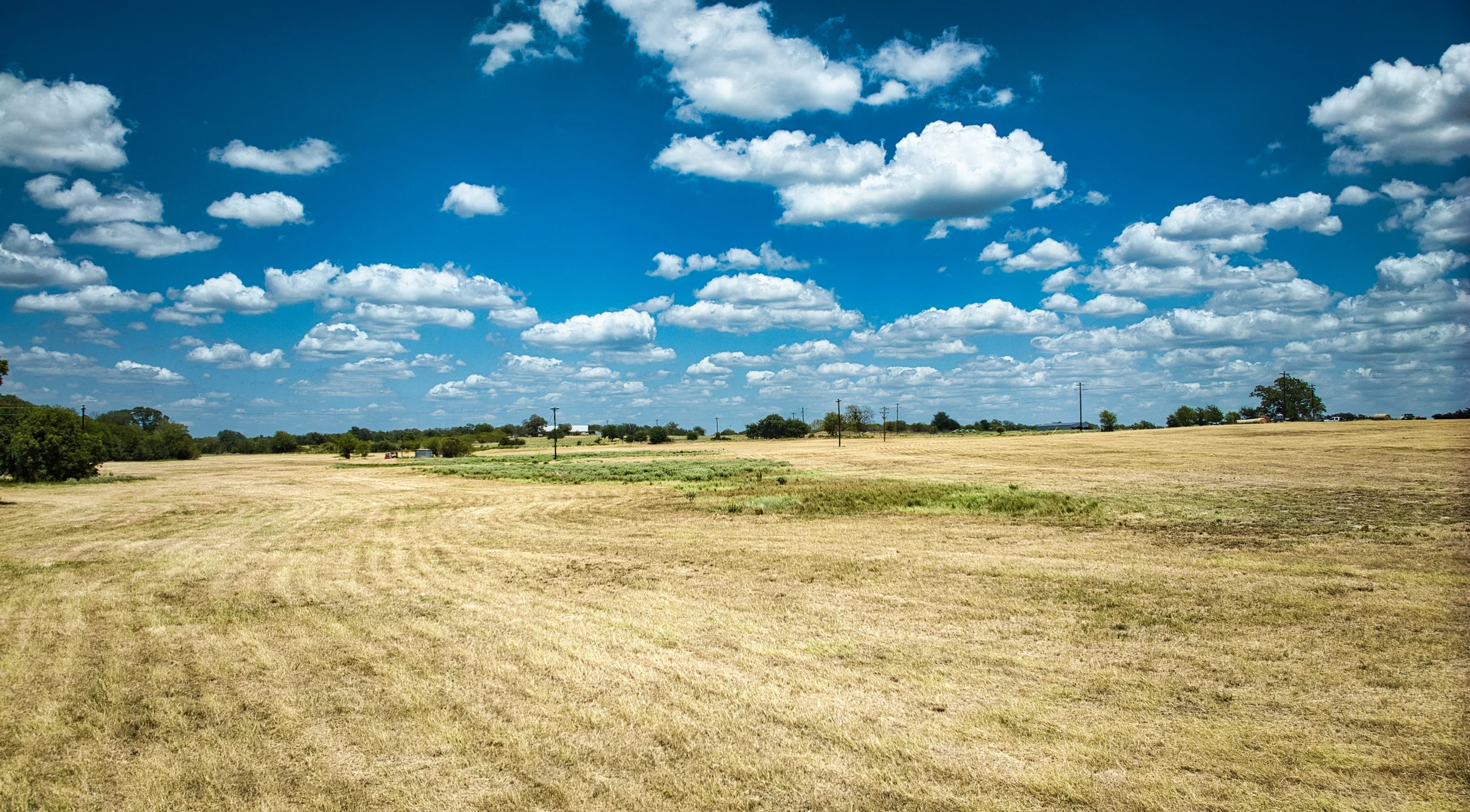 Hay12Ac_21.webp