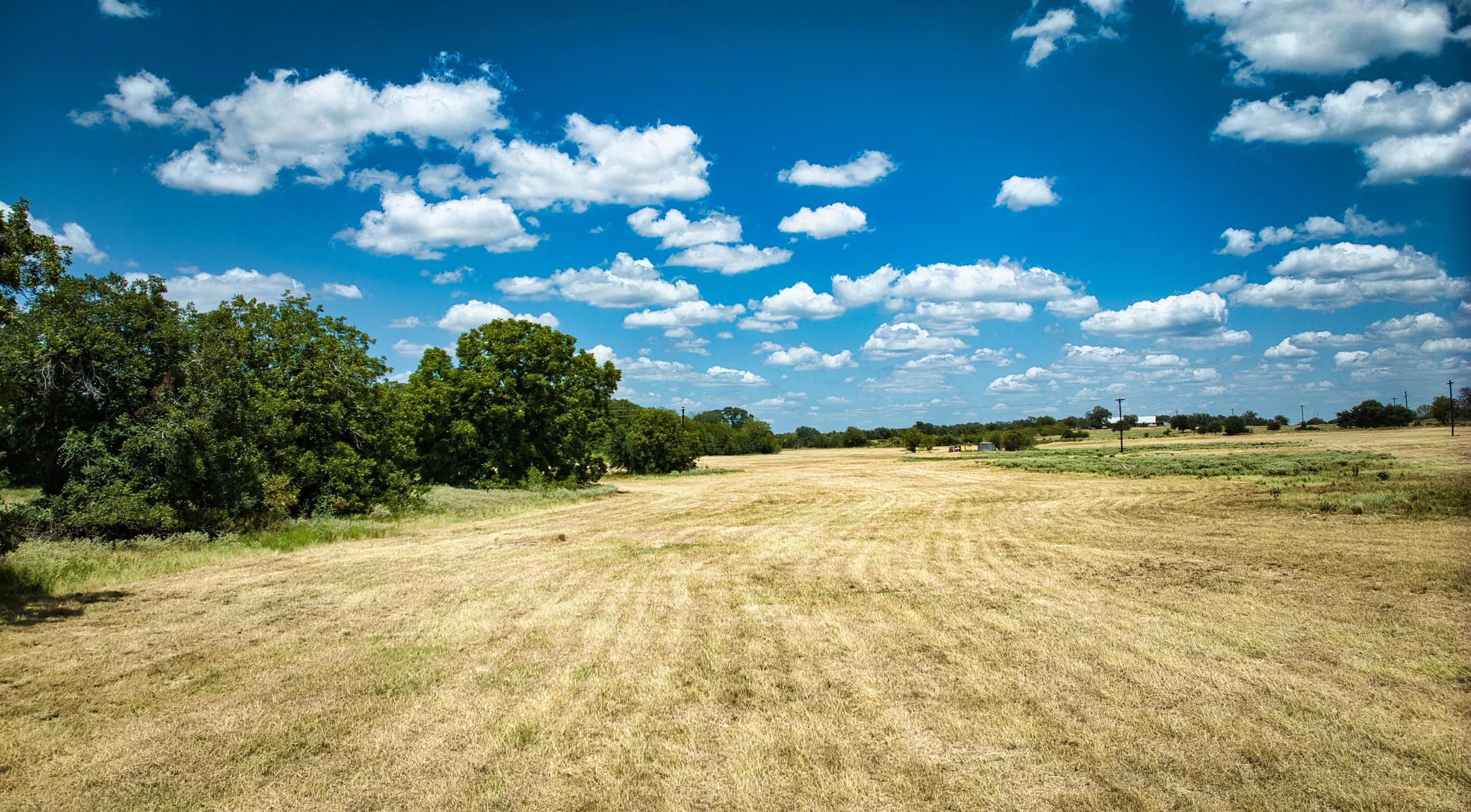 Hay12Ac_22.webp