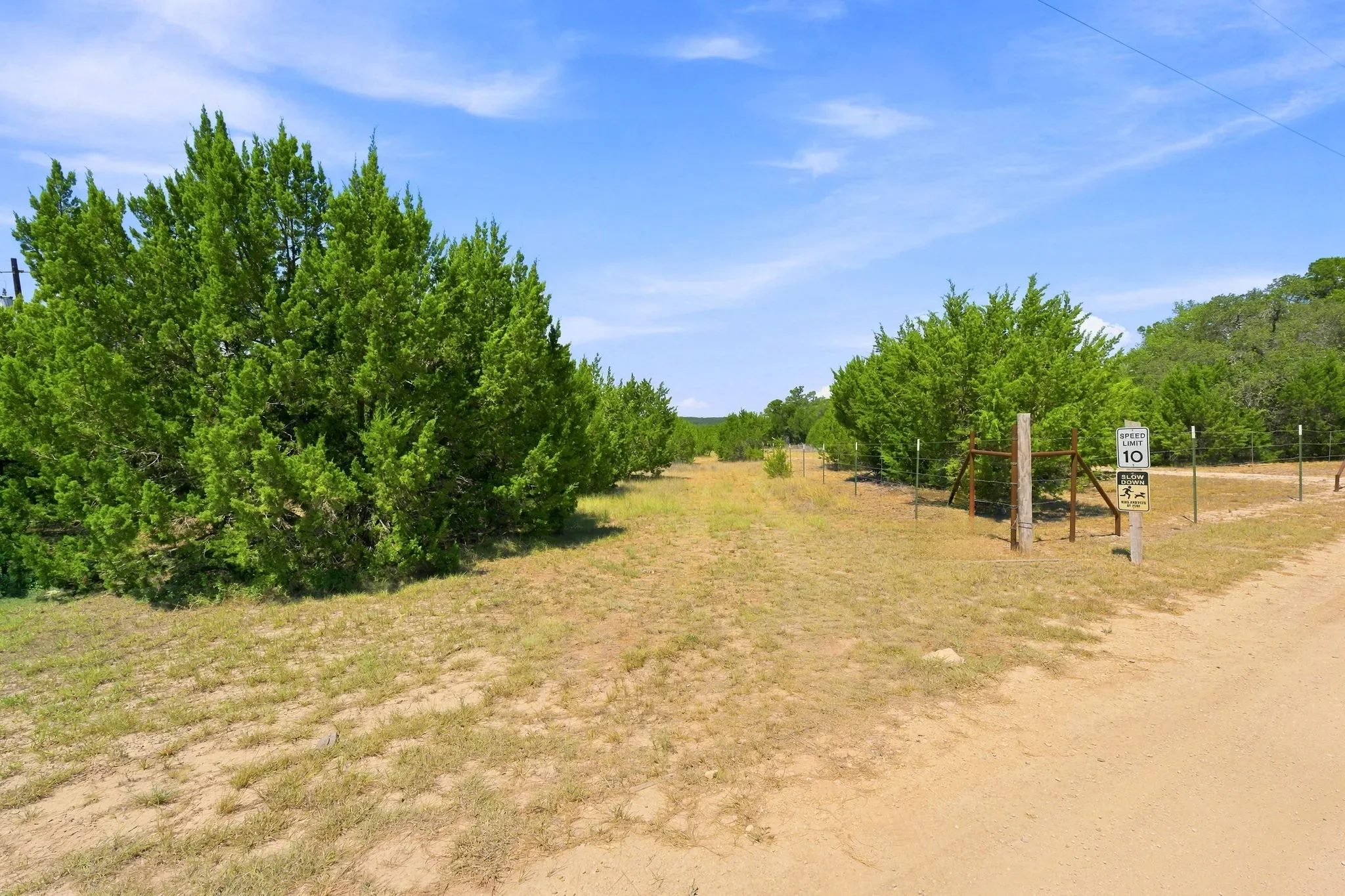 15-web-or-mls-DSC02478.webp