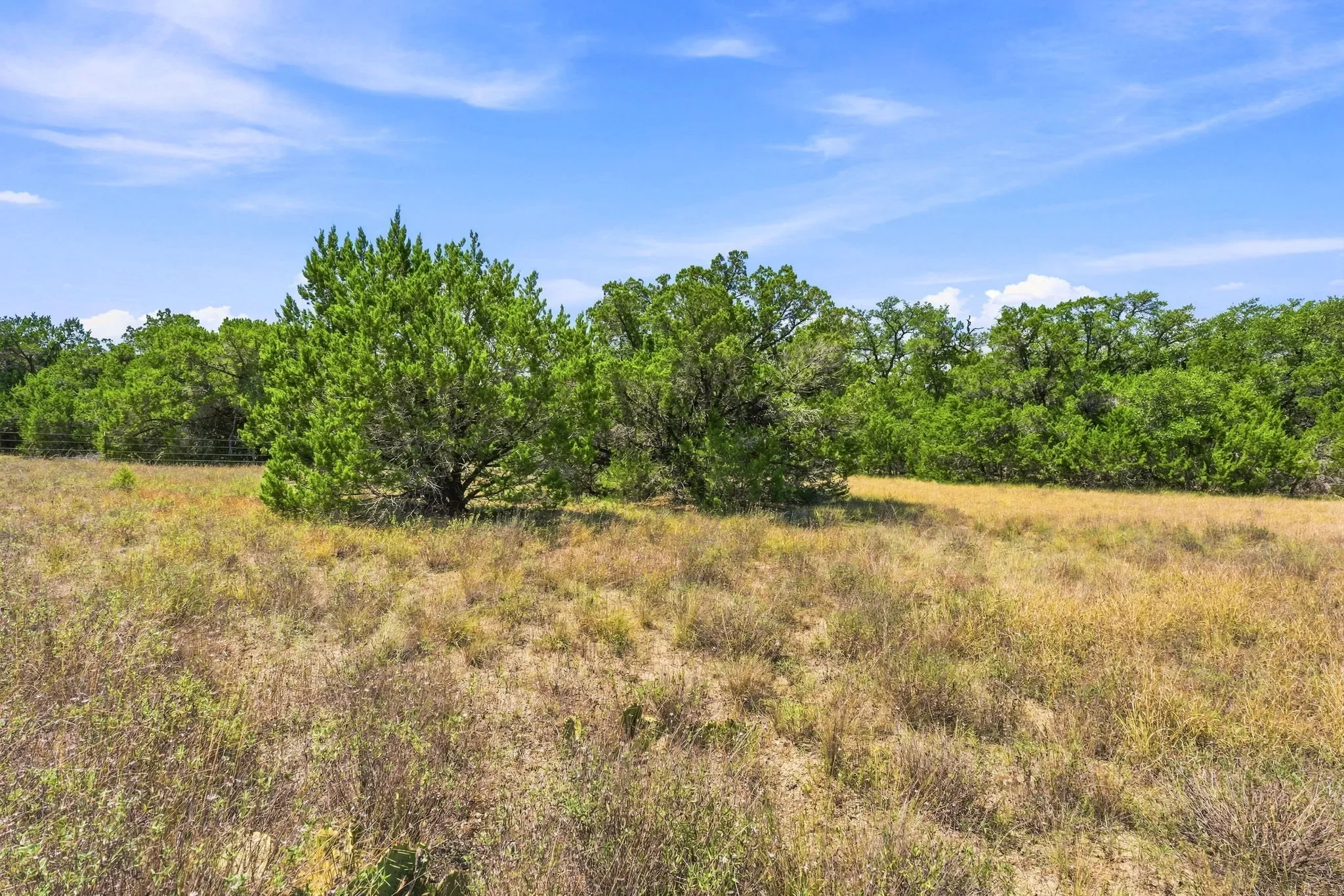 23-web-or-mls-DSC02504.webp
