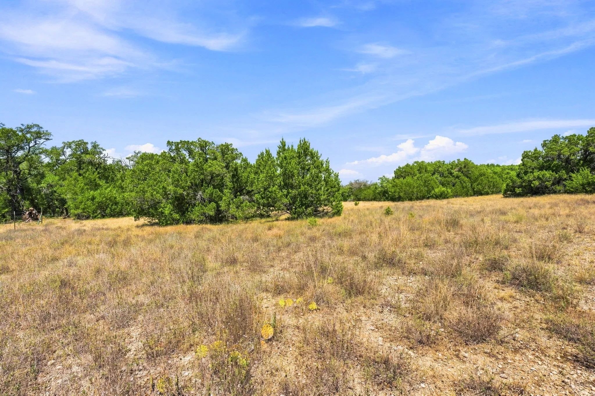 24-web-or-mls-DSC02507.webp