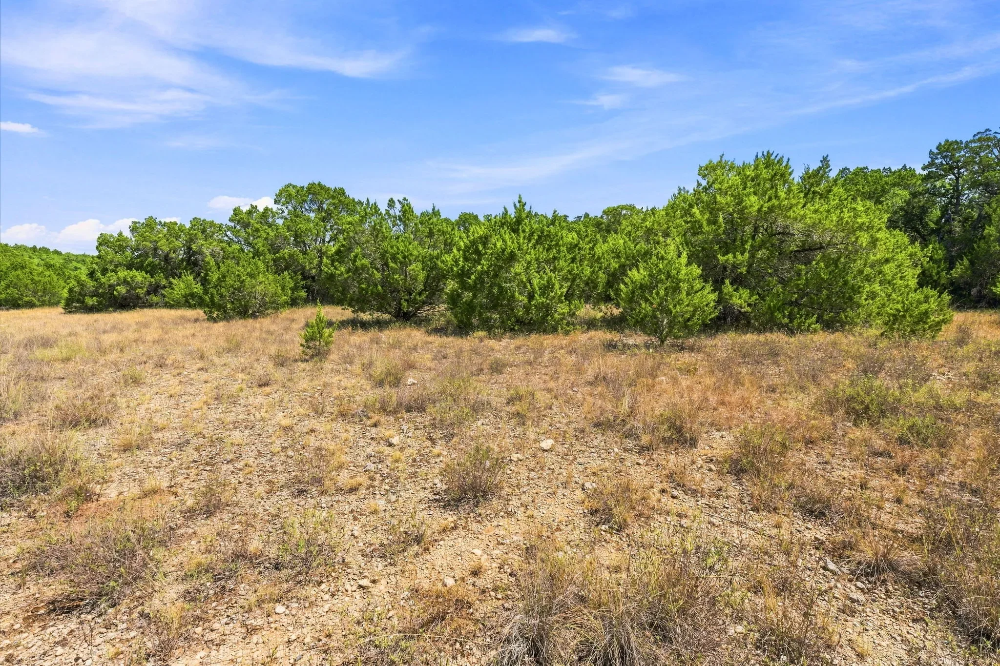 25-web-or-mls-DSC02510.webp