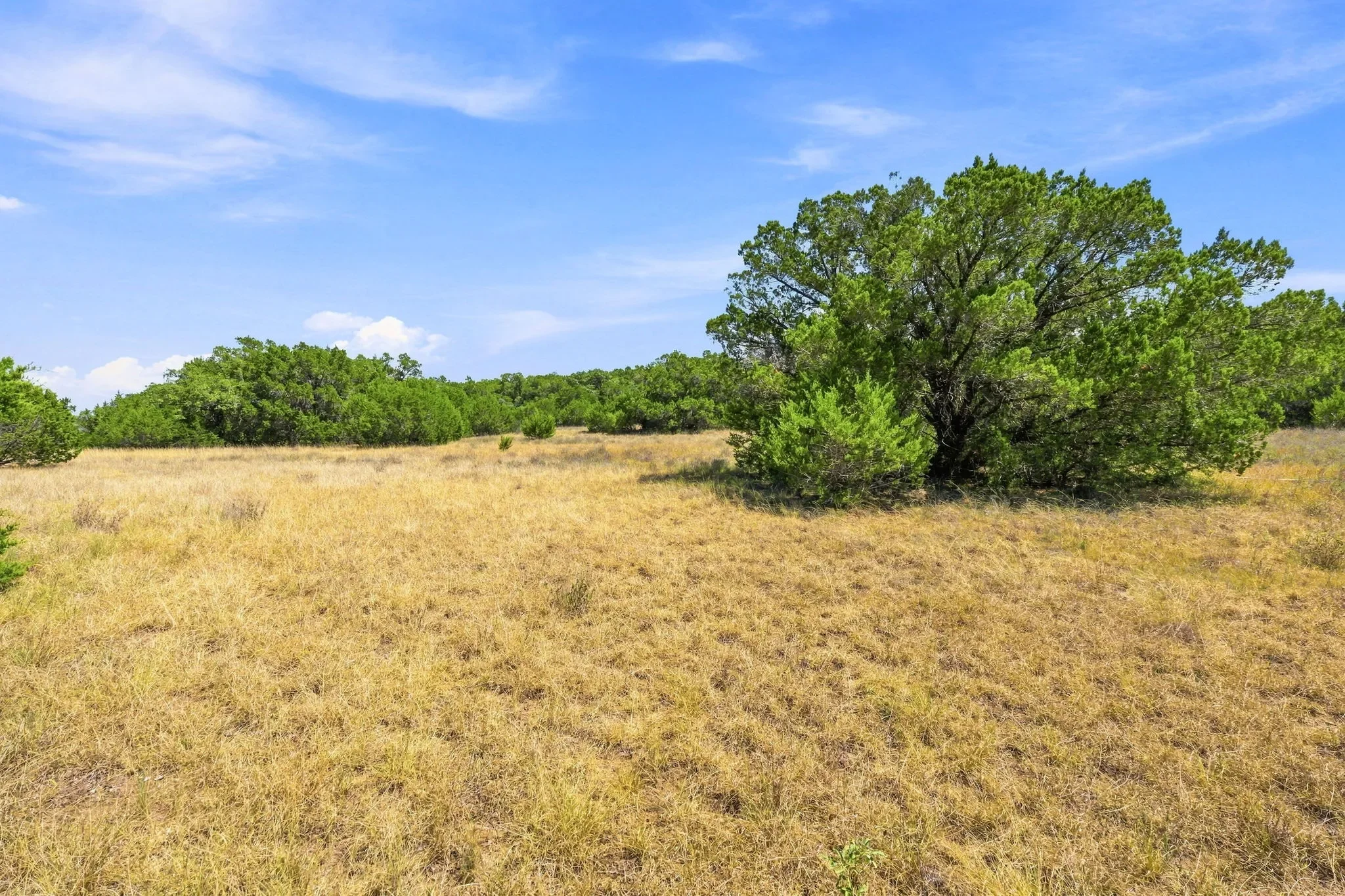 26-web-or-mls-DSC02513.webp