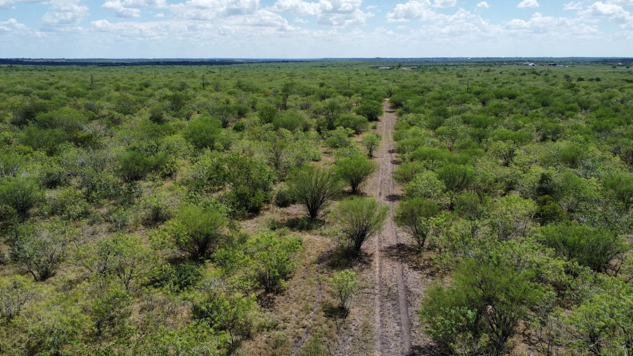 dji_fly_20260908_133304_68_1788892689541_photo_optimized.jpg