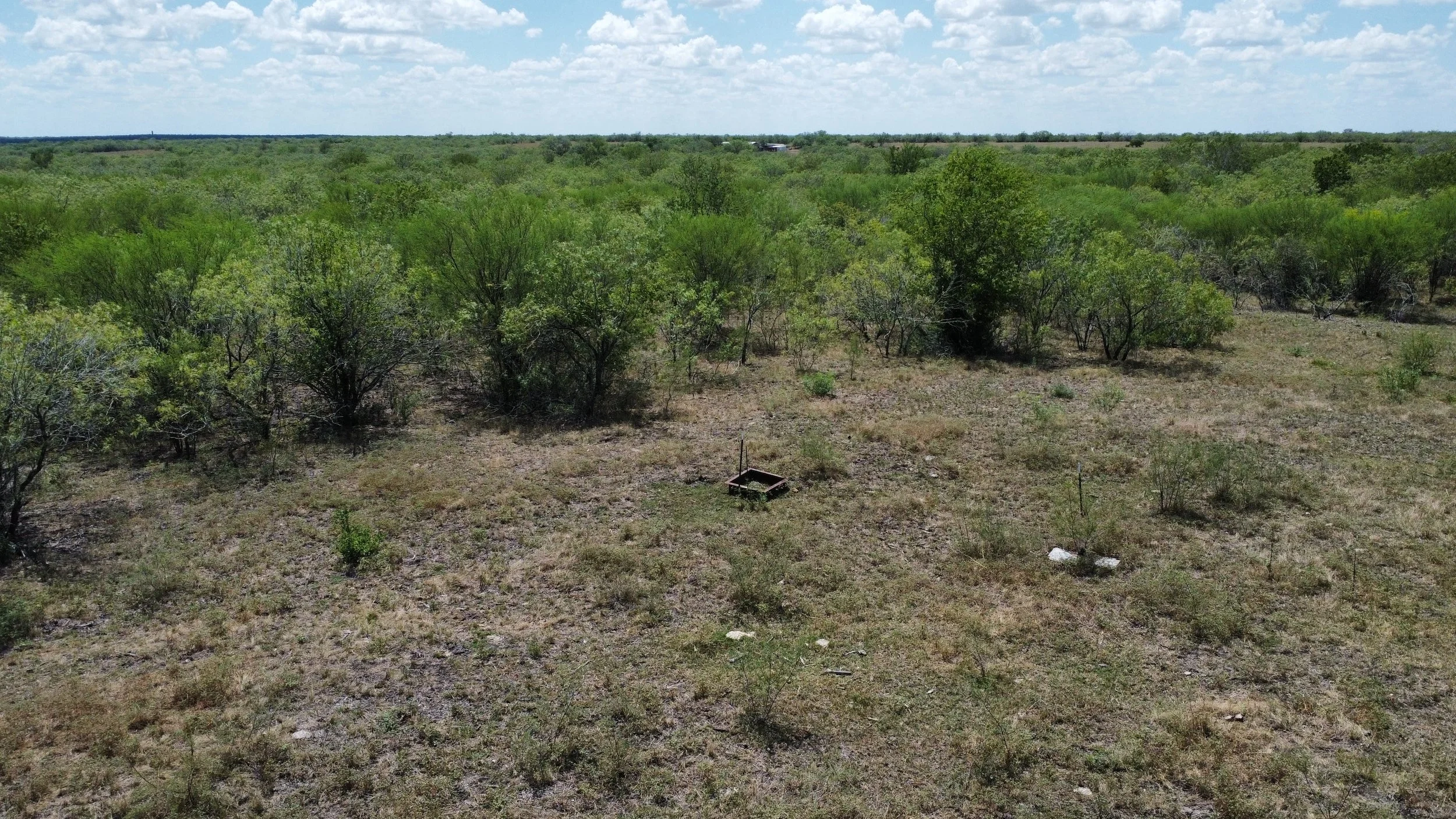 dji_fly_20260908_133408_73_1788893033684_photo_optimized.jpg