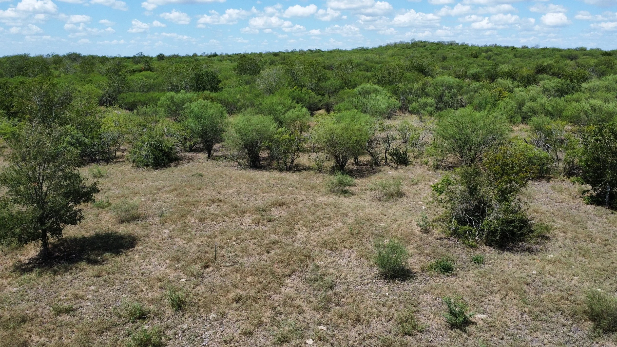 dji_fly_20260908_133512_79_1788893039478_photo_optimized.jpg