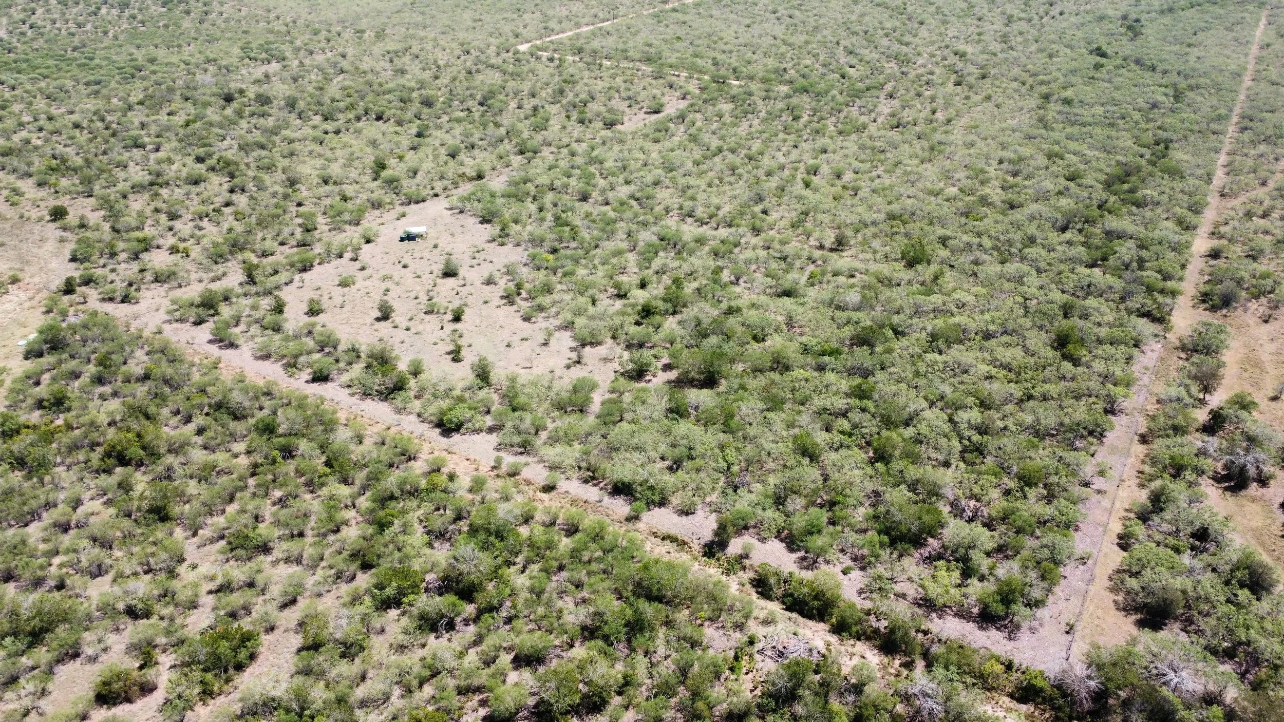 dji_fly_20260908_133618_83_1788893043155_photo_optimized.jpg