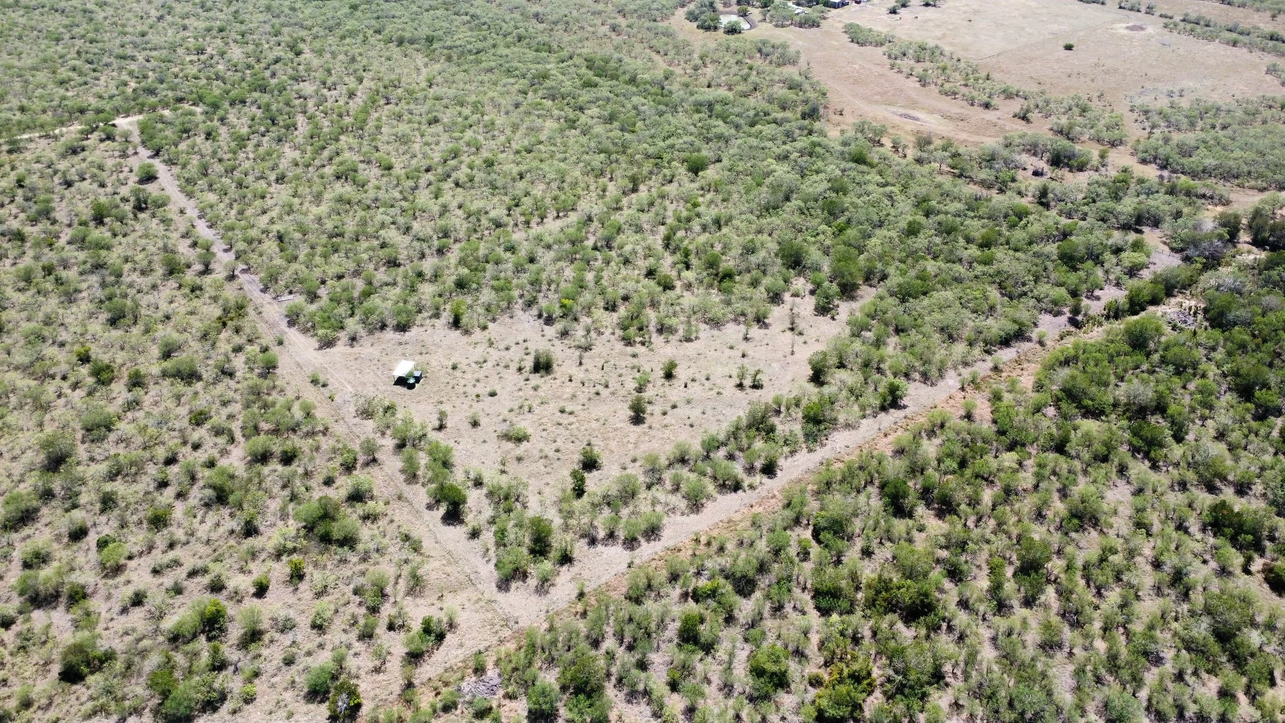 dji_fly_20260908_133736_87_1788893048243_photo_optimized.jpg