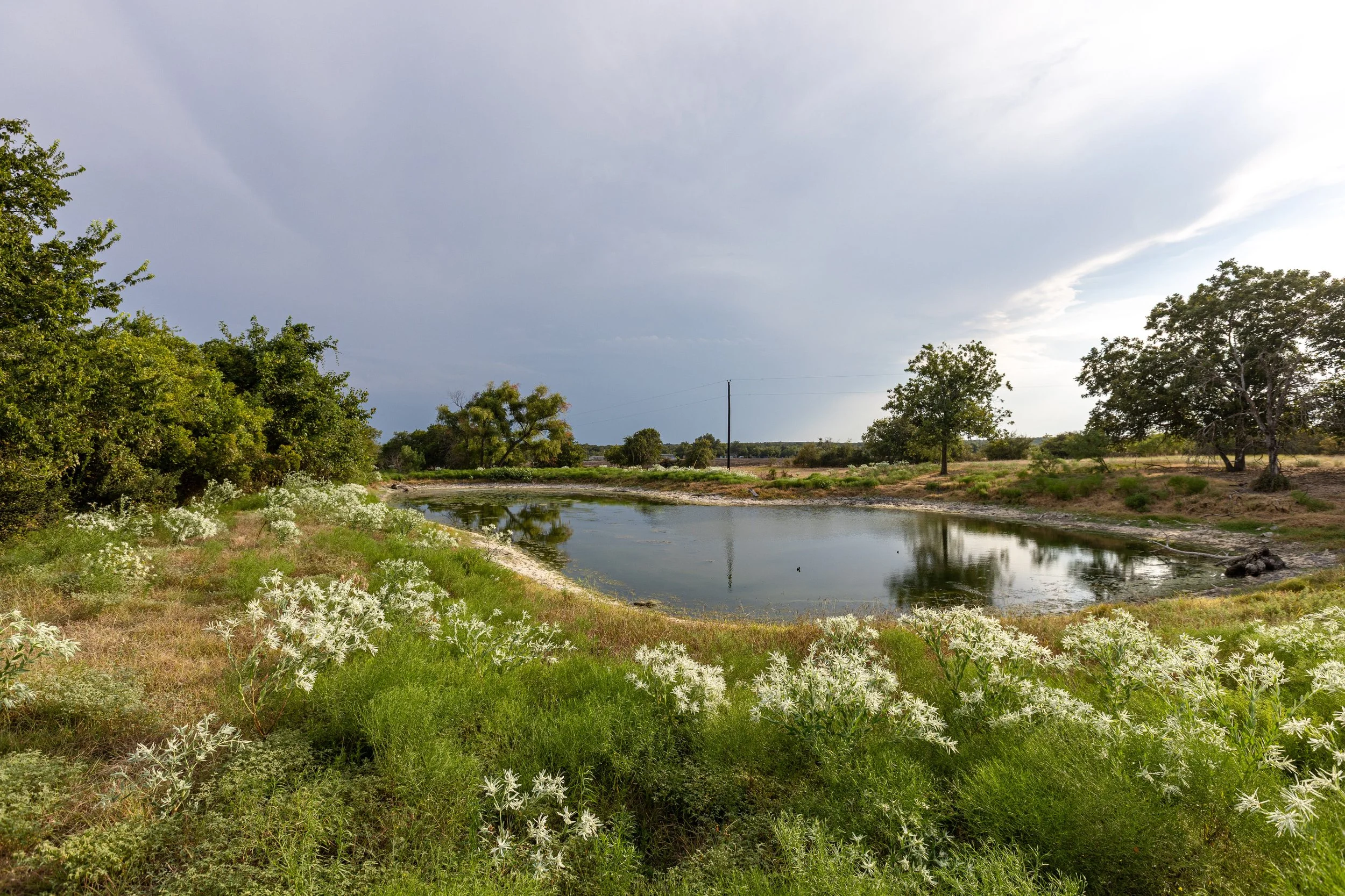 Lot 16 (8).jpg