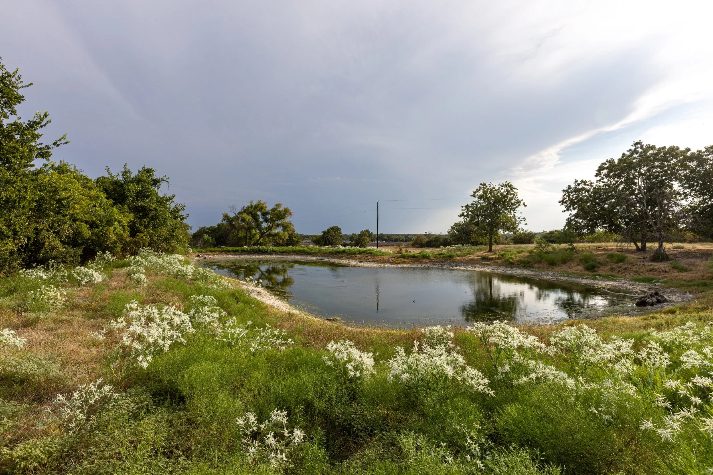 Lot 16 (9).jpg
