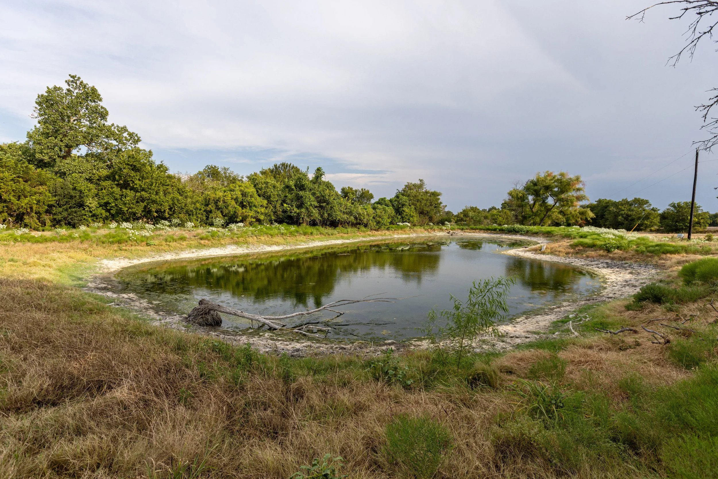 Lot 16 (10).jpg