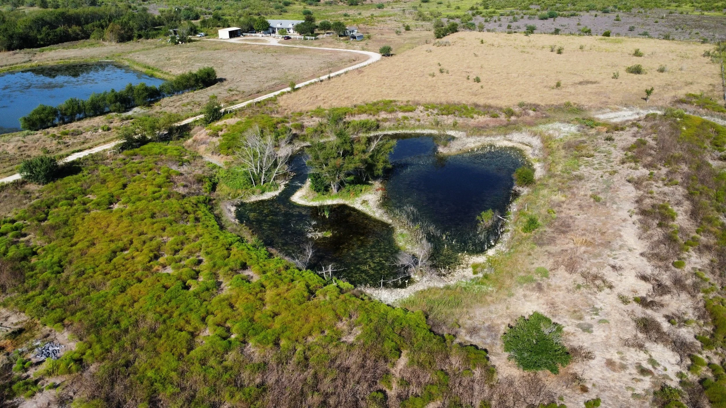 dji_fly_20260923_100336_111_1790175850905_photo_optimized.jpg