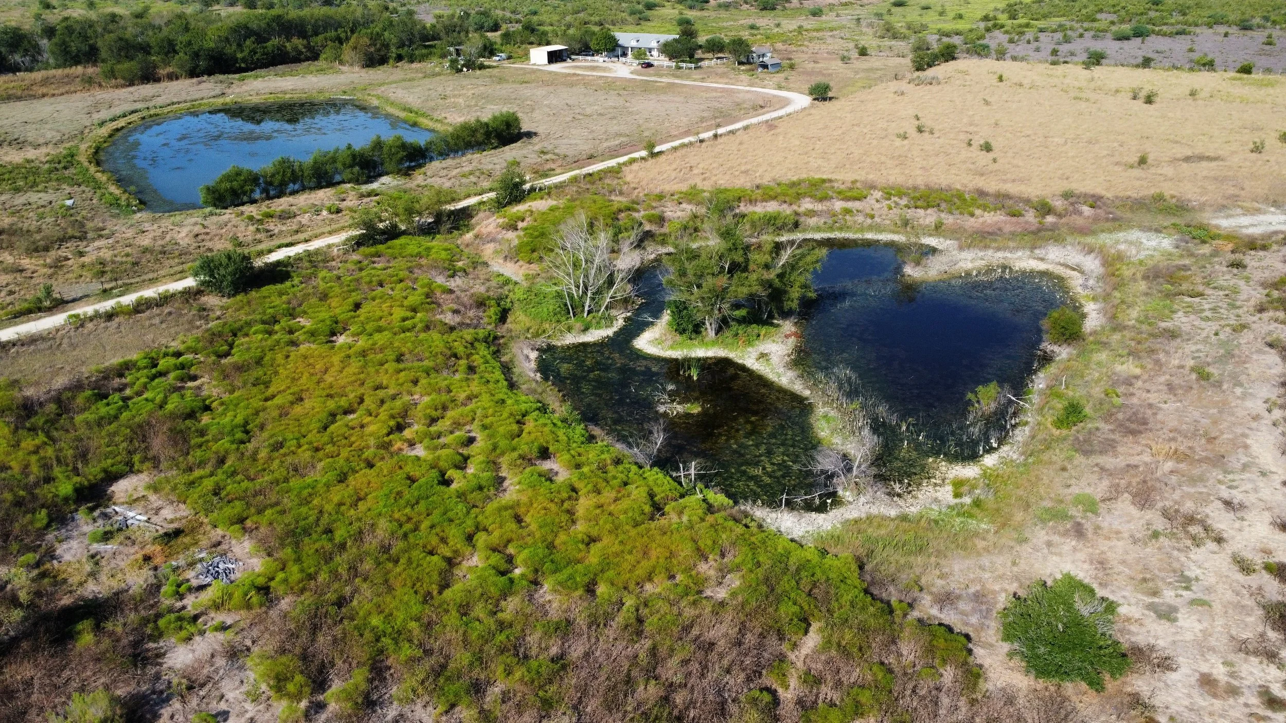 dji_fly_20260923_100338_112_1790175994680_photo_optimized.jpg
