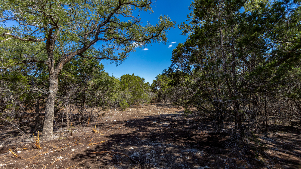 How Many Acres Do You Need for Mobile Homes in Texas? — Land Up