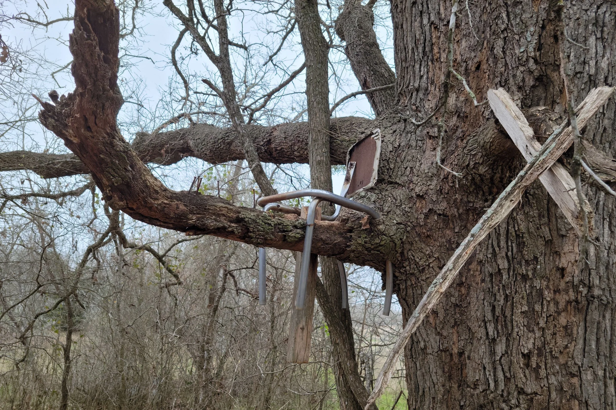 How many acres do you need to hunt in Texas? — Land Up