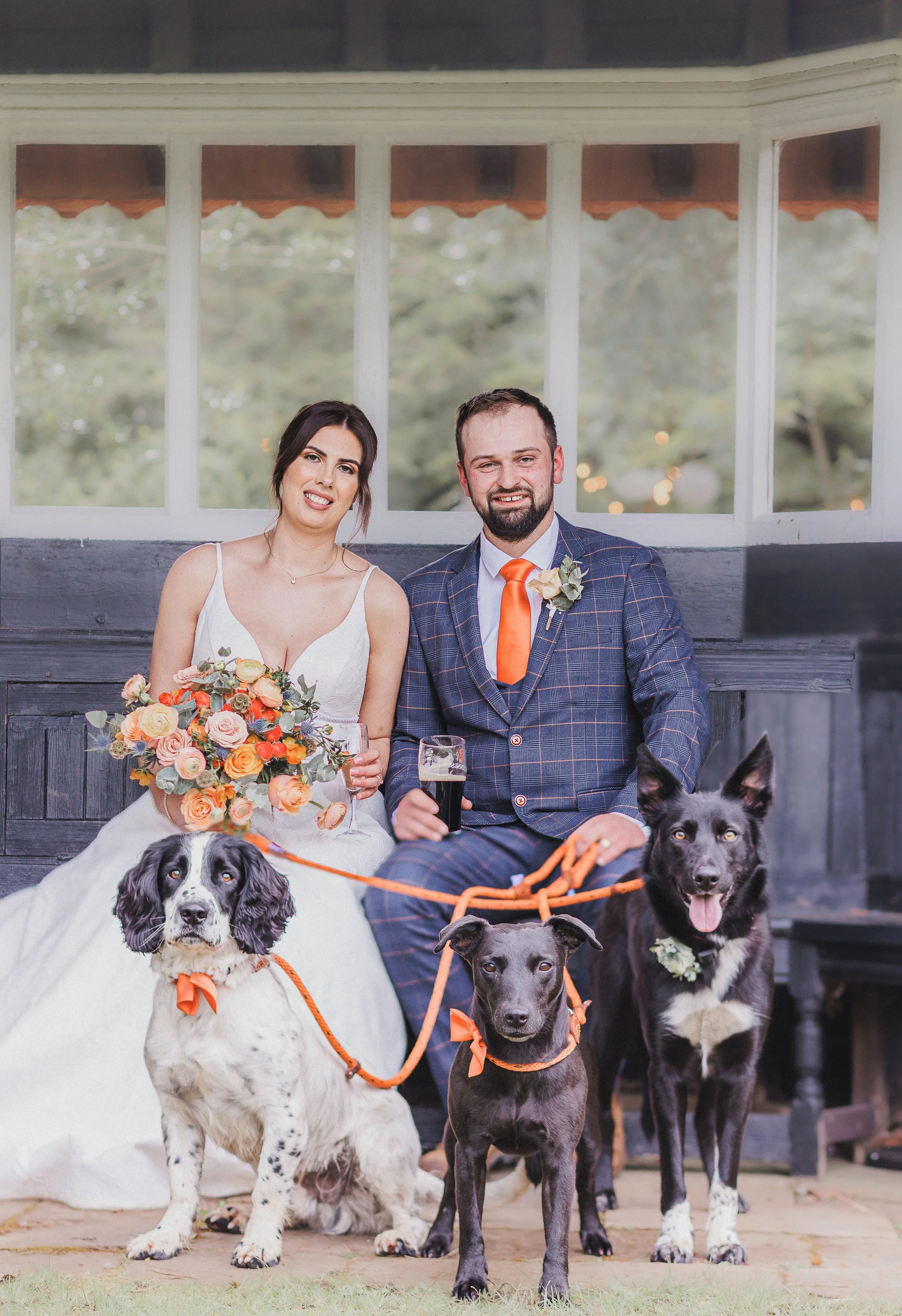 Dog wedding packages | Beachweddingtips.com