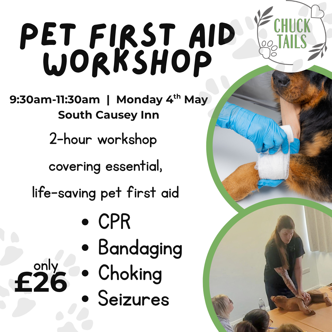 Copy of Pet First Aid workshop.png