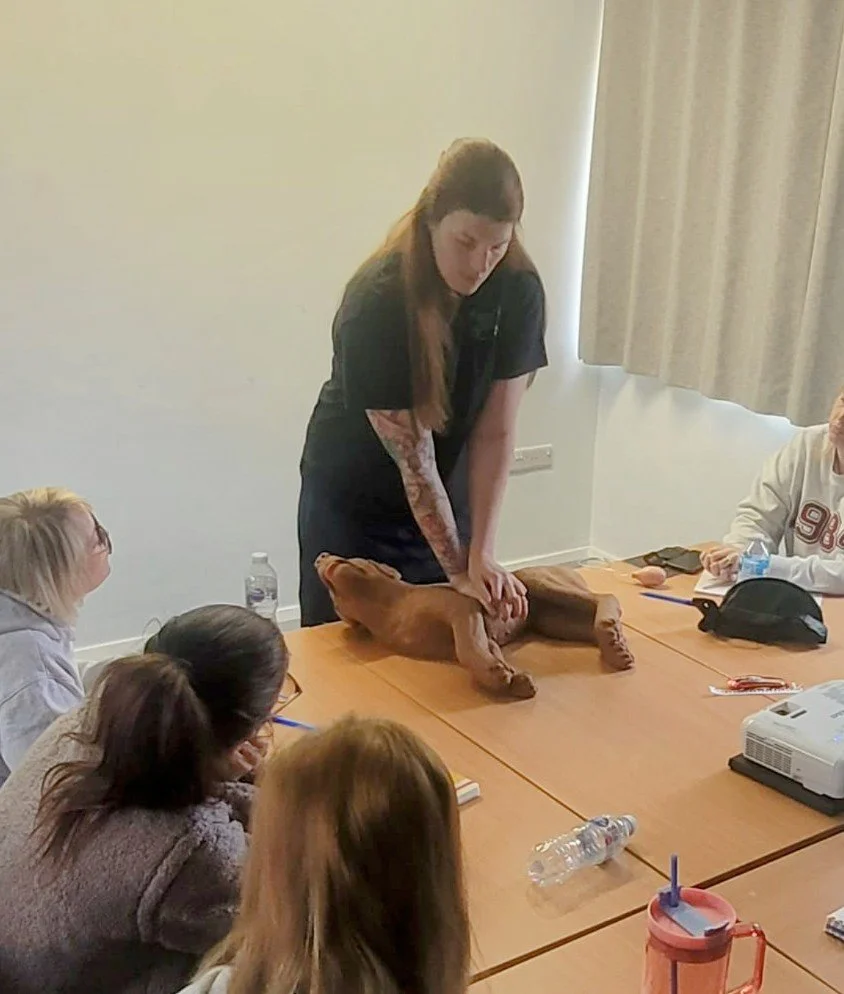 Canine First Aid Course