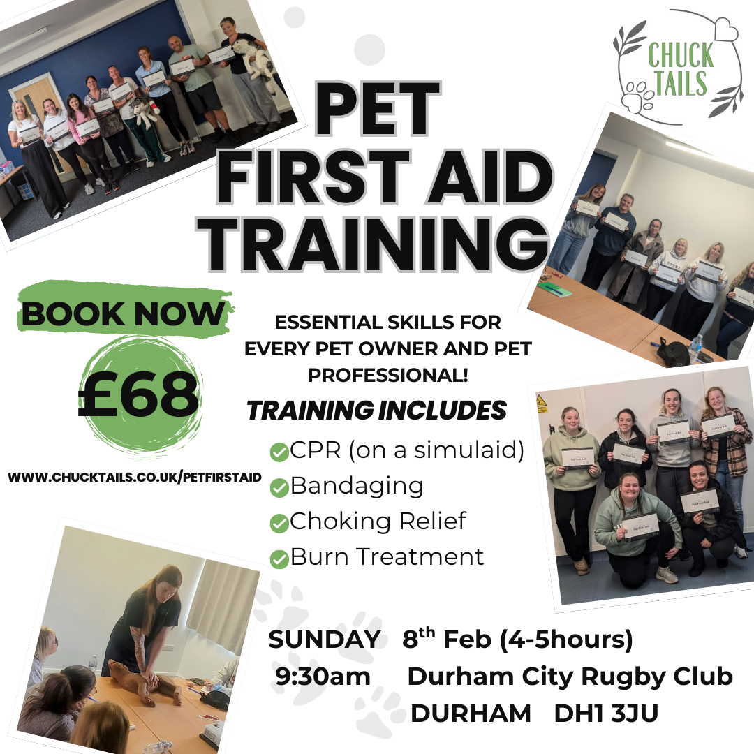 Pet First Aid Training (16).png