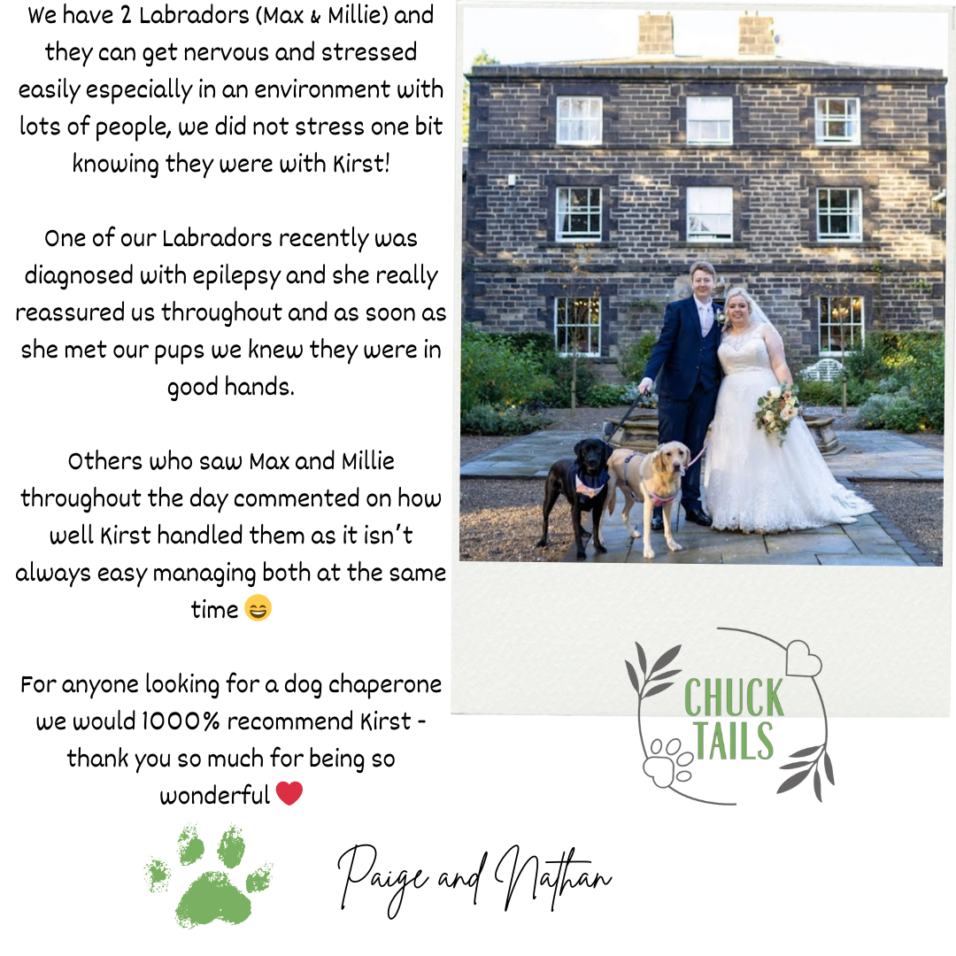 Review -Paige and Nathan (1).png