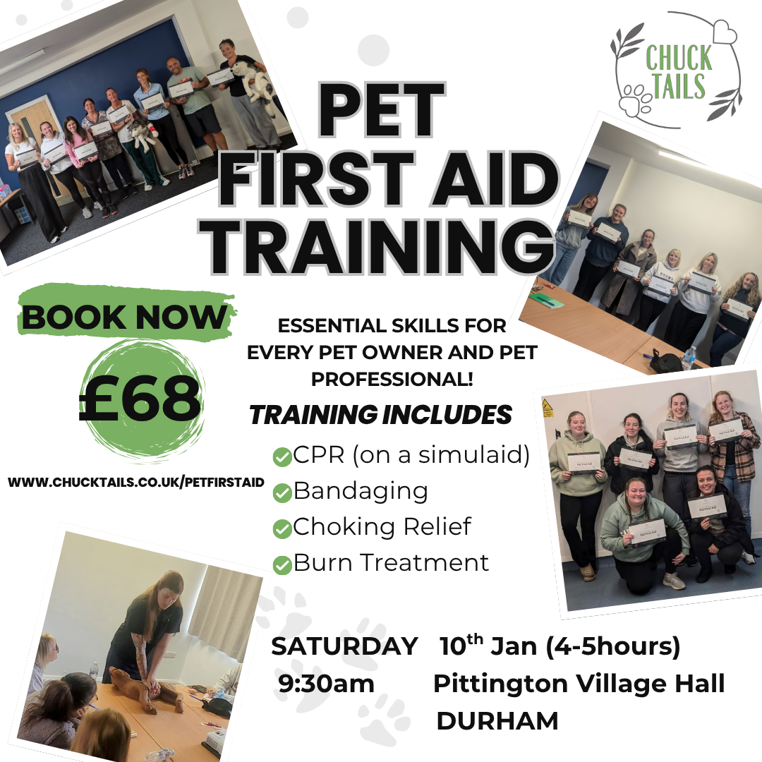 Flyer for pet first aid training event. Includes images of groups of people holding certificates, a person demonstrating pet first aid, and a logo for Chuck Tails. Details about date, time, location, and skills covered are listed.