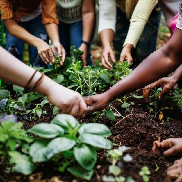 From Scarcity to Abundance: Unveiling Rural Nova Scotia's Riches