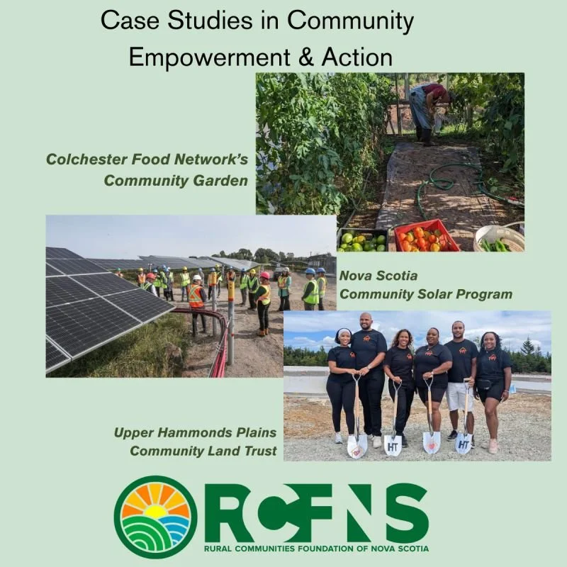 Lessons from the Field—Rural Case Studies of Systems Change 
